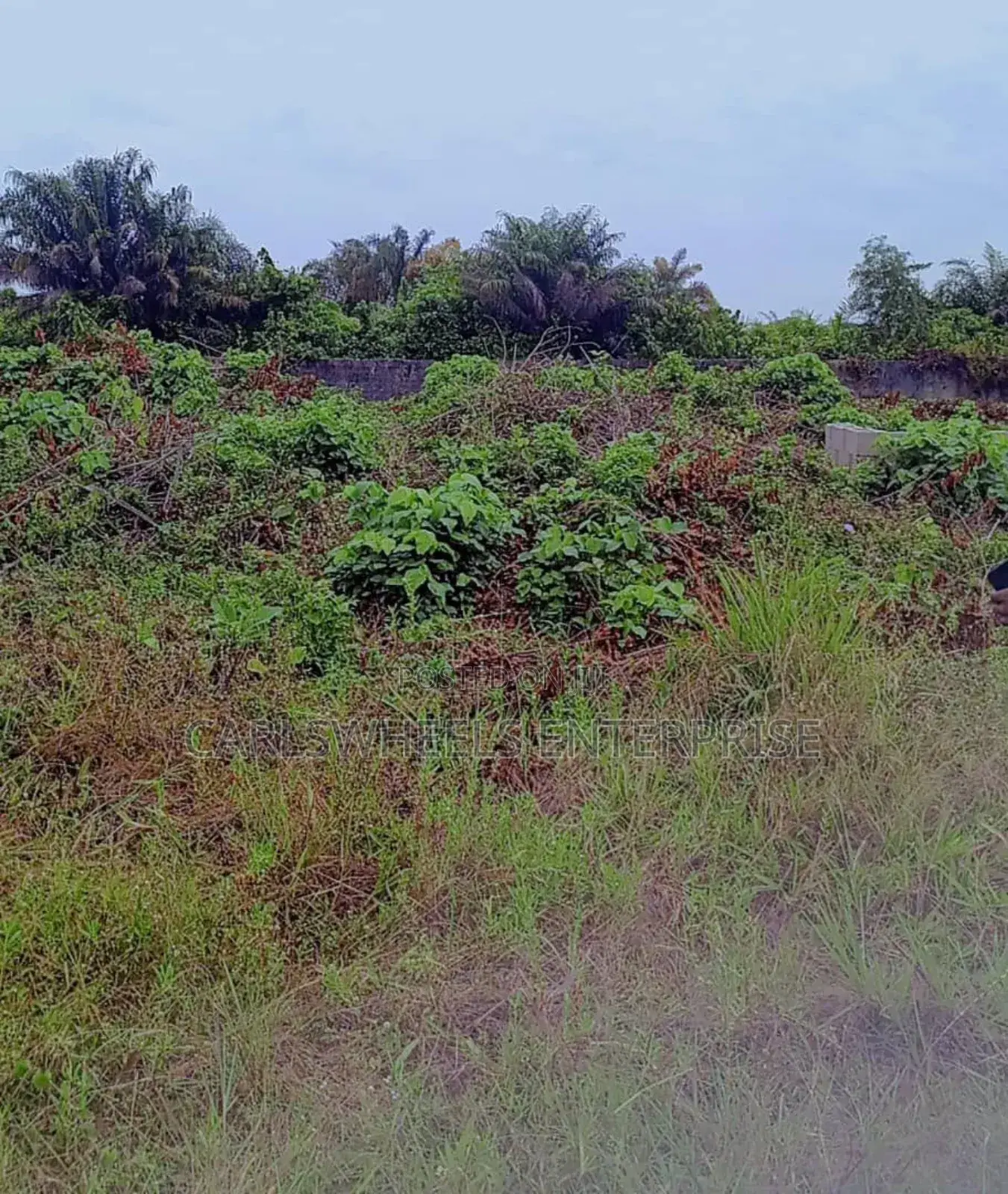 800sqm Dry Land in Ajayi Apata Estate(Beside Fara Park Estate) Ajah. in Sangotedo