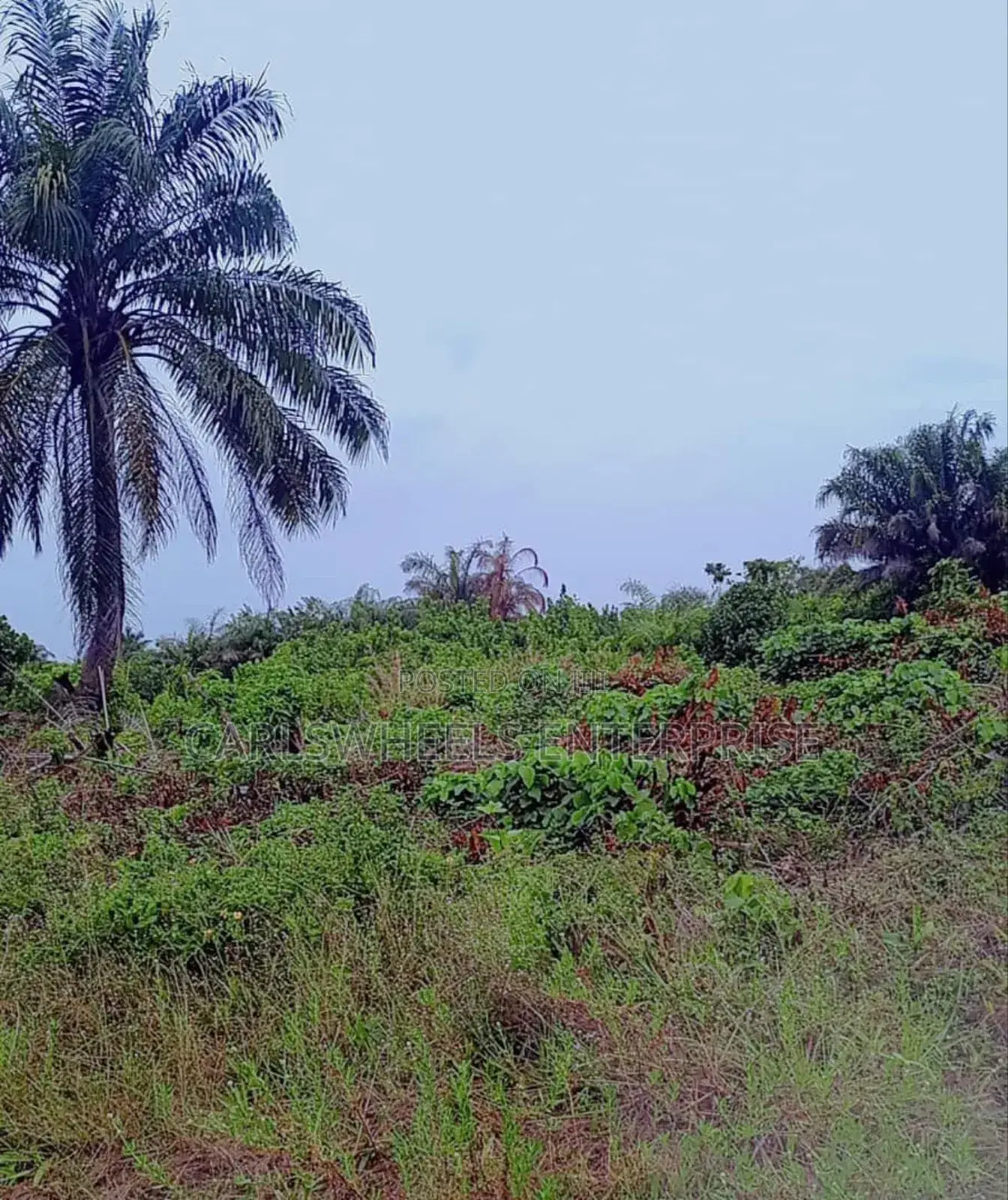 800sqm Dry Land in Ajayi Apata Estate(Beside Fara Park Estate) Ajah. in Sangotedo