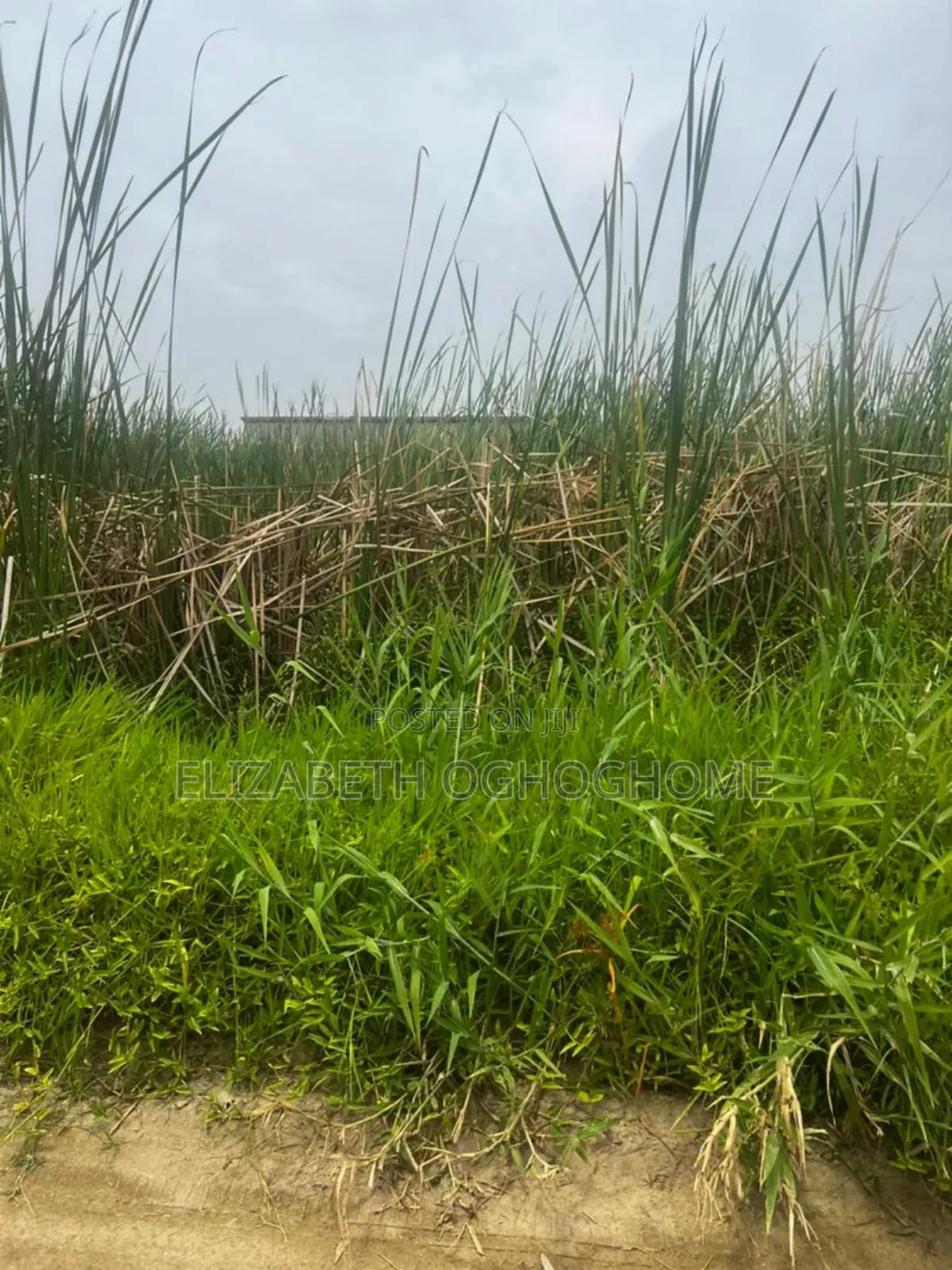 Buy And Build Land With C Of O At Sangotedo, Ajah in Sangotedo