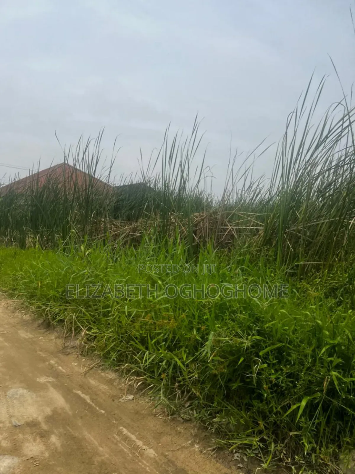 Buy And Build Land With C Of O At Sangotedo, Ajah in Sangotedo