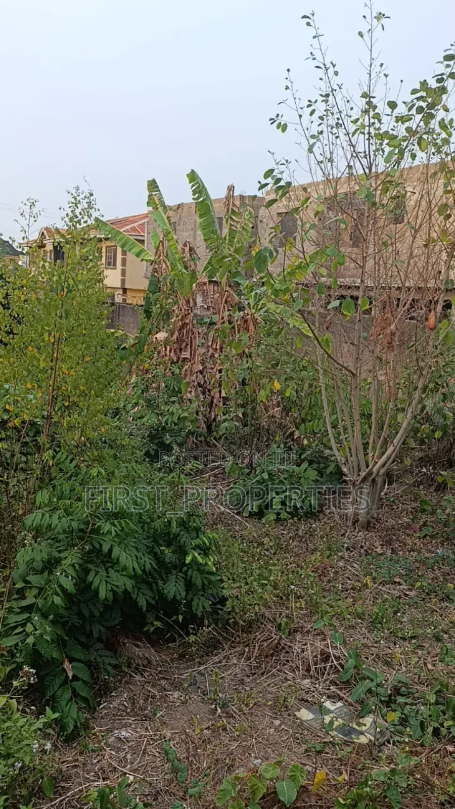 Over 2 Plot of Land in Calm and Serene Environment in Alakia