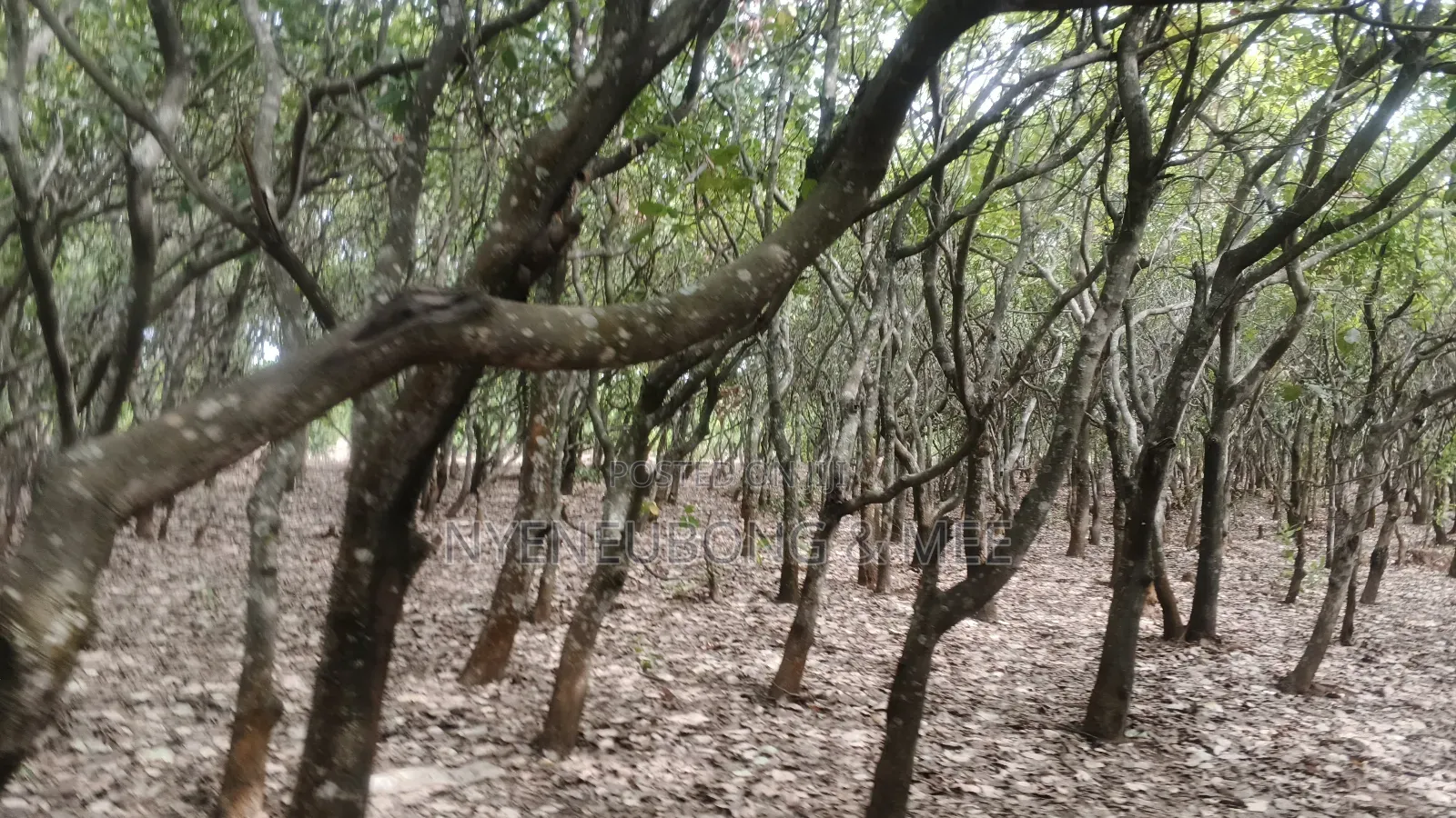Land for Sale in Guzape District