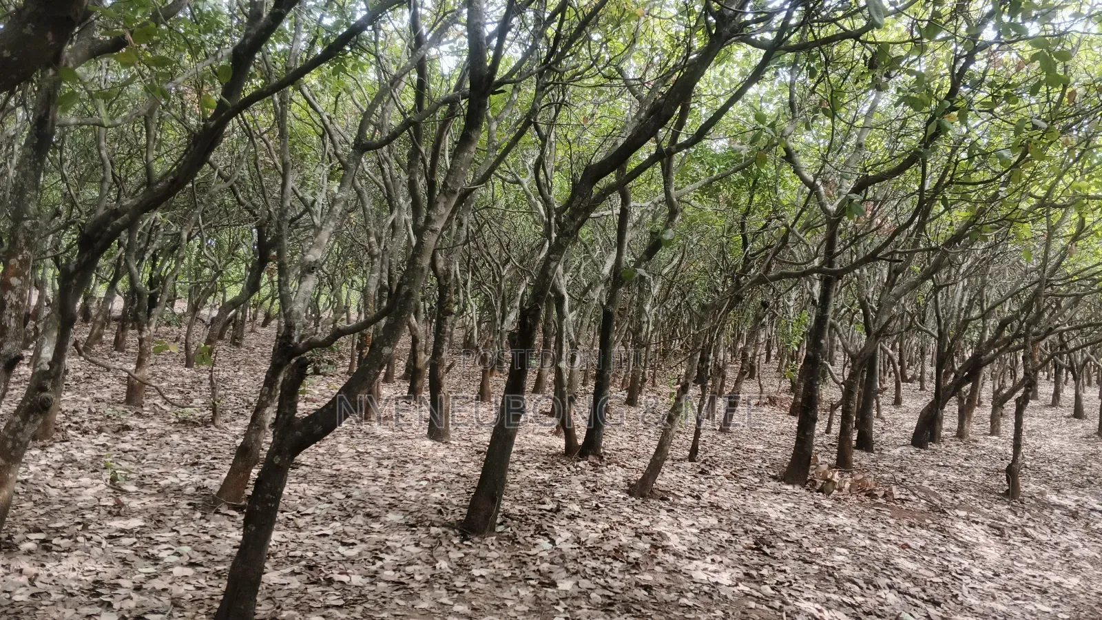 Land for Sale in Guzape District