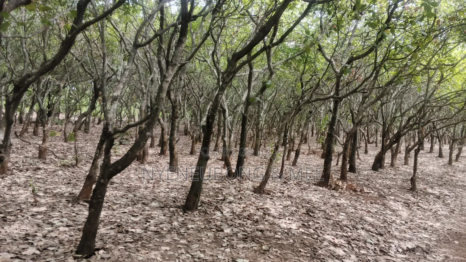 Land for Sale in Guzape District