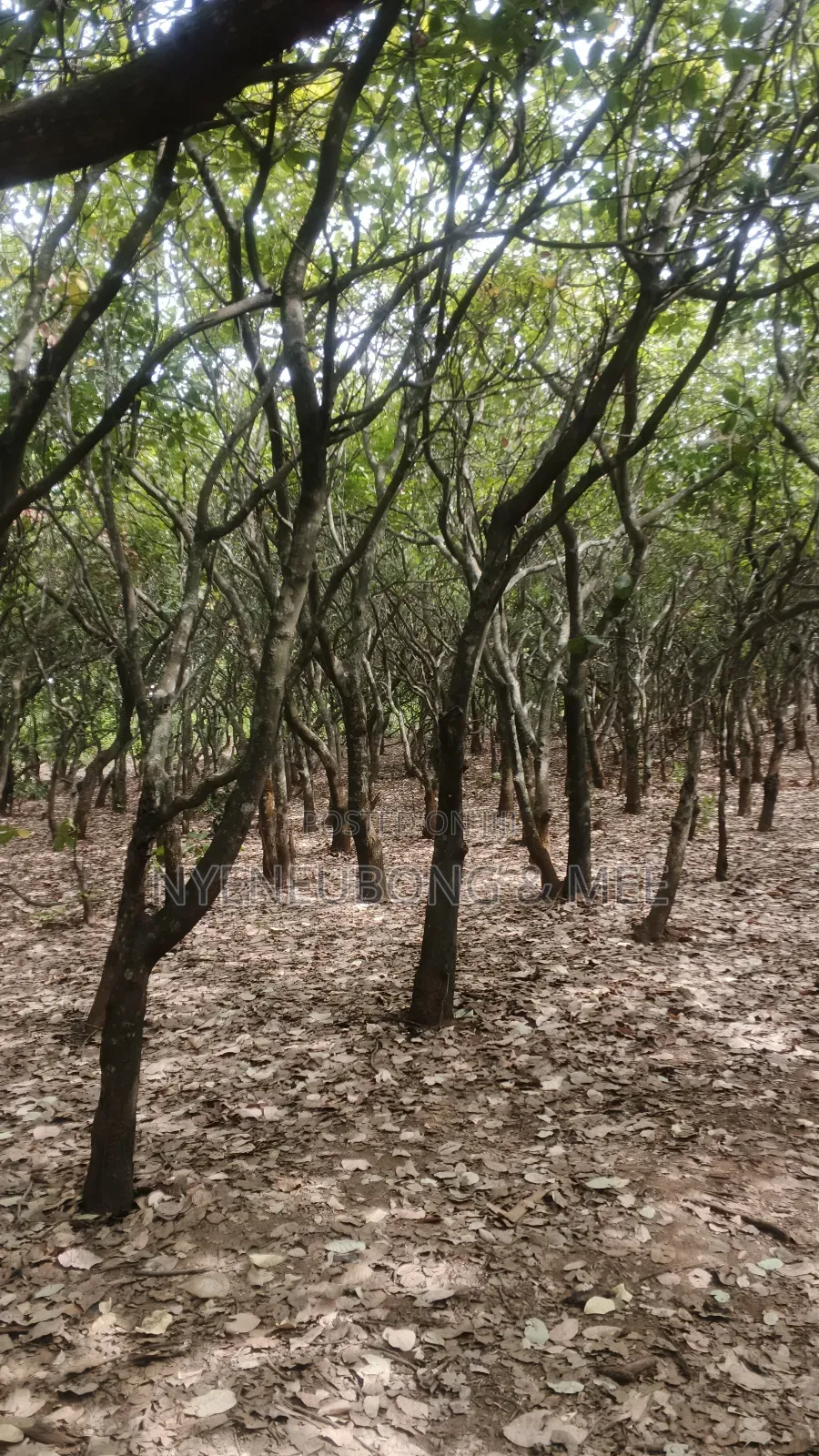 Land for Sale in Guzape District