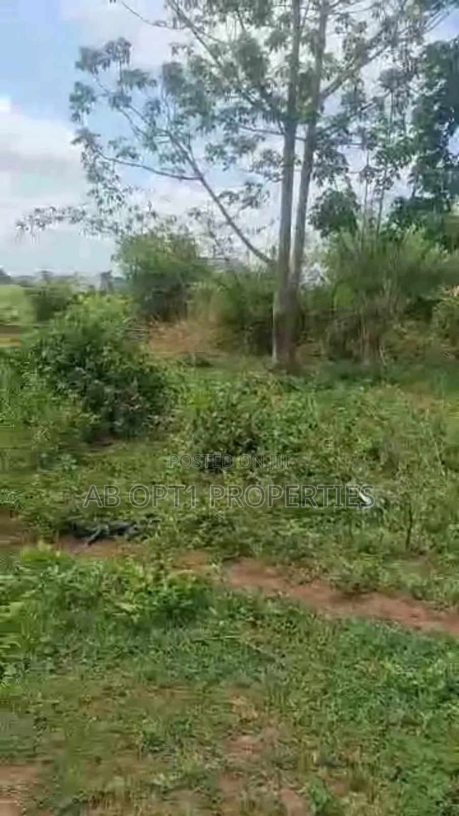 50ft by 100ft Land at Biu Estate, Amagba for Sale in Benin City
