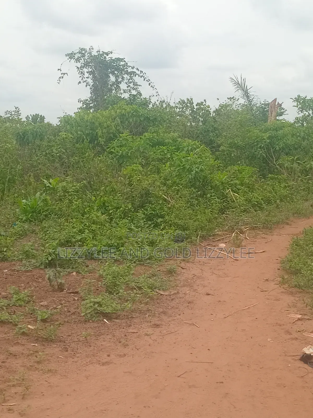 About 200 Acres of Land, for Sale, at #3,000,000 60 by 120 Per Plot in Ilaro