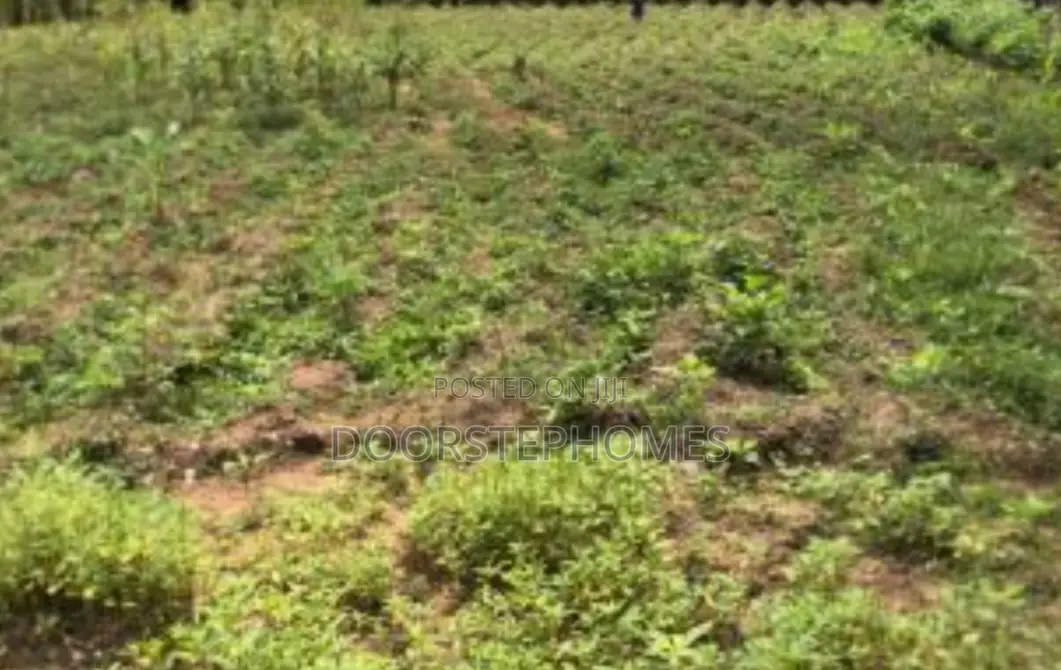 1000sqm Residential Land for Sale in Gwarimpa in Bunkoro