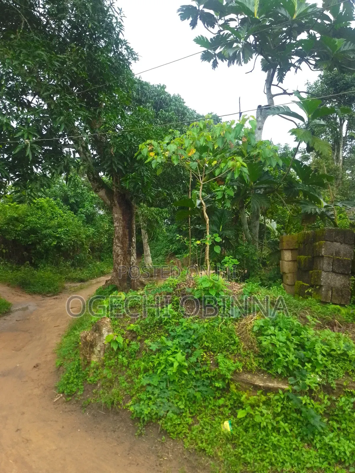 Distress Buy and Build Land for Sale at Etche Rivers State in Port-Harcourt