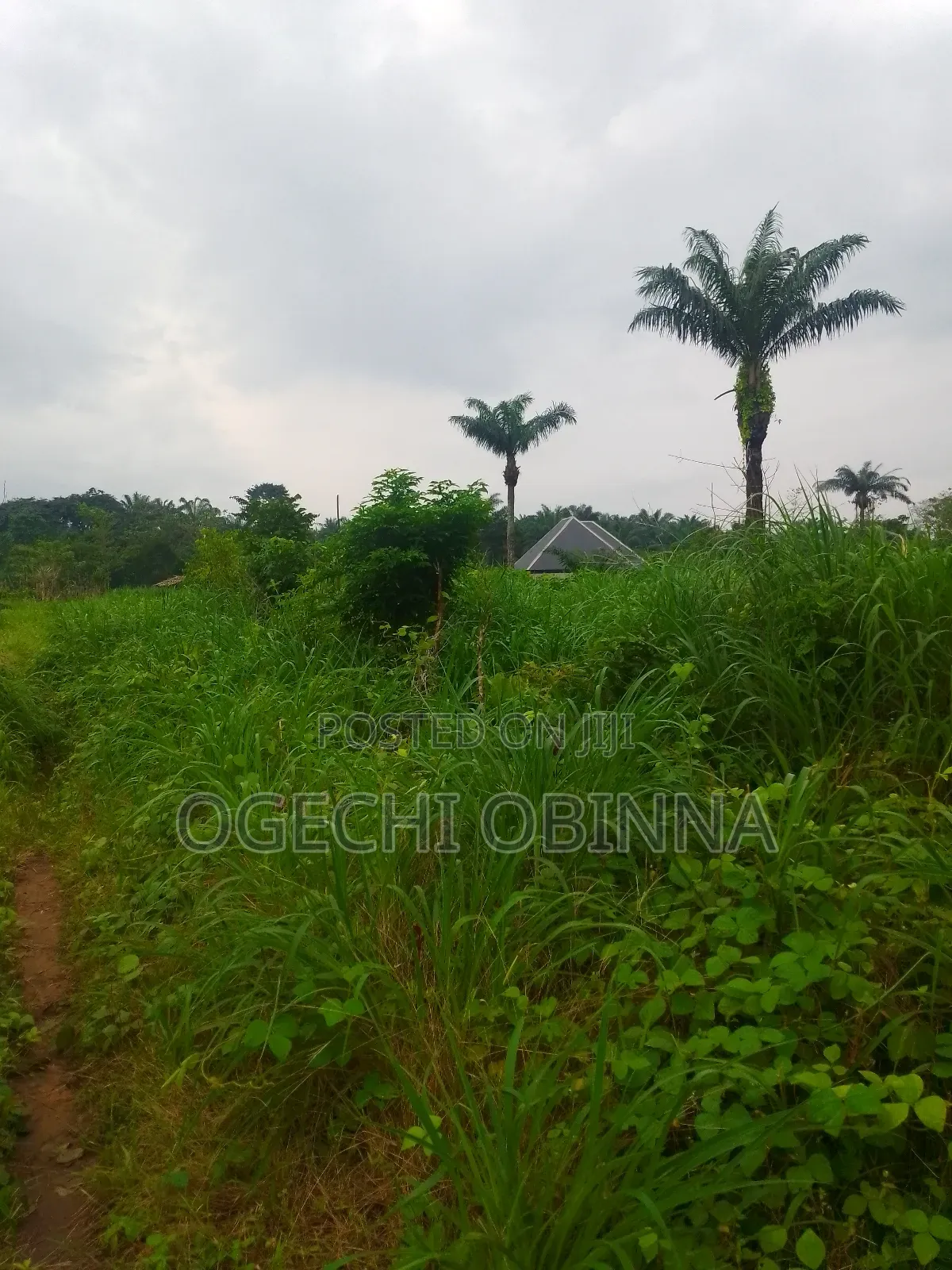 Distress Buy and Build Land for Sale at Etche Rivers State in Port-Harcourt