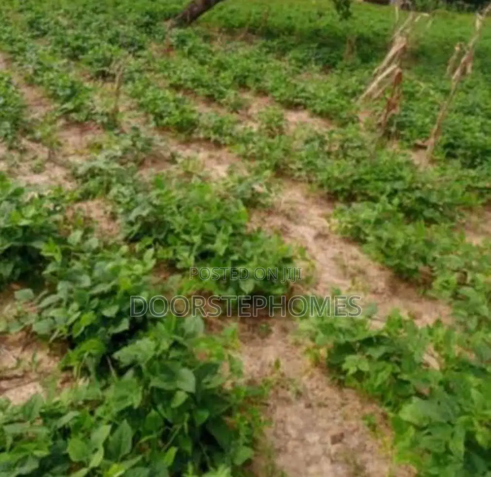 2373.34sqm Residential Land for Sale in Orozo in Karshi
