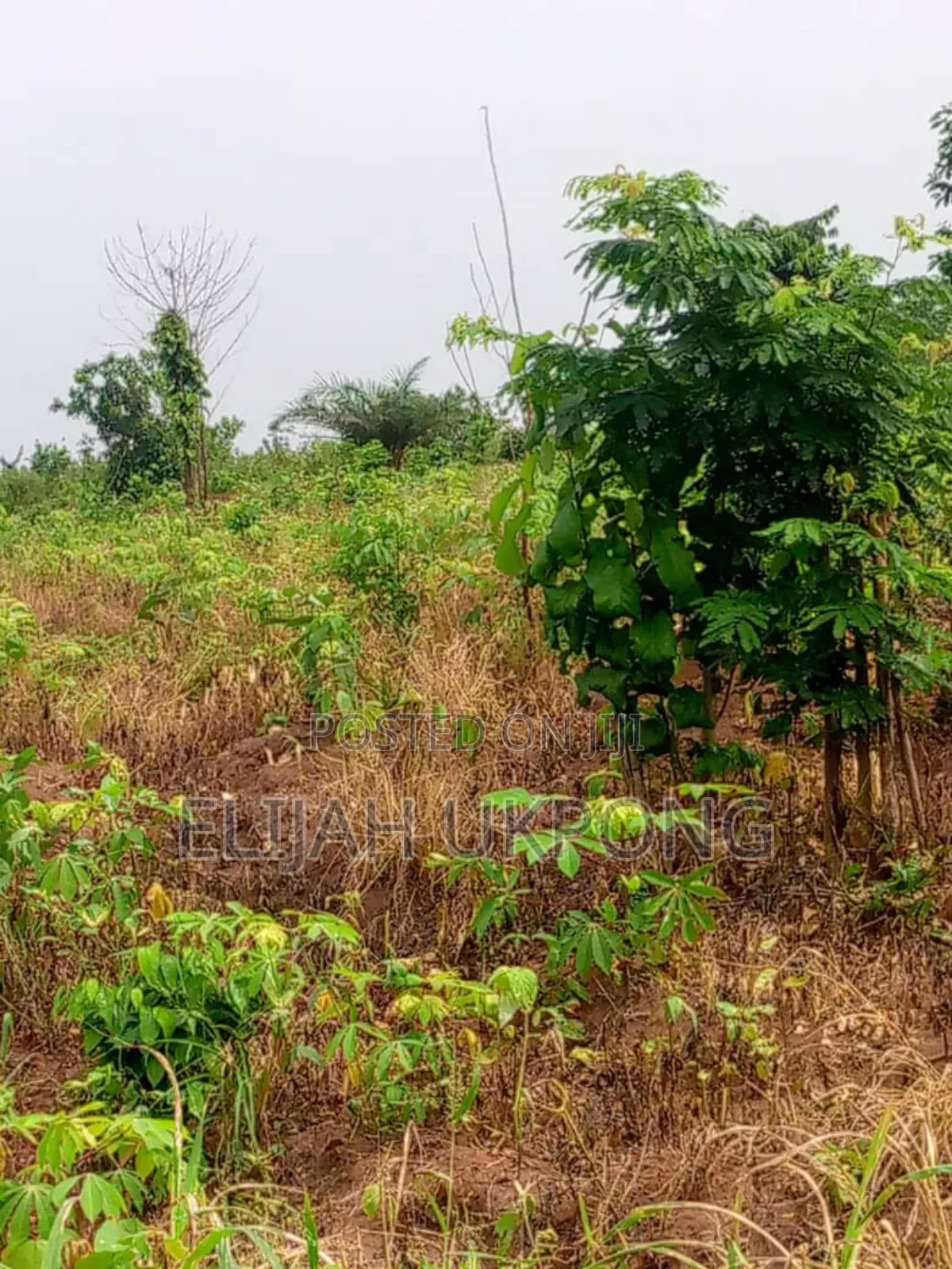 20 Plots of Land for Sale in Chevron