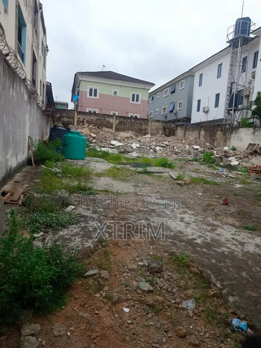 1 Bedroom Flat in Opebi