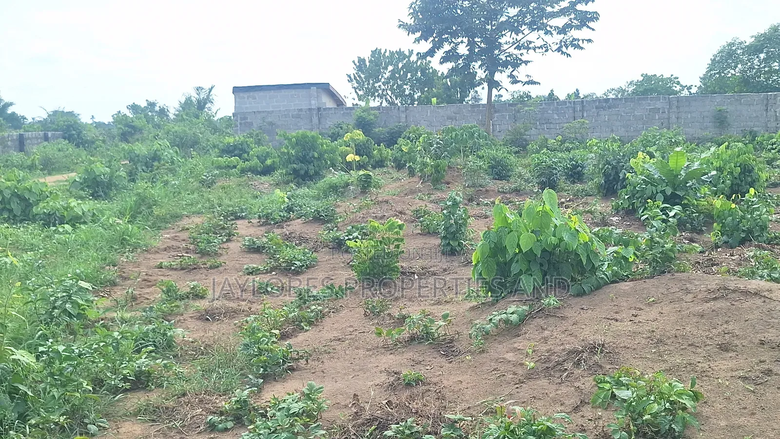 For Sale : 5 Plots at NDDC Road, Off Eneka-Igwuruta, Port Har in Obio-Akpor