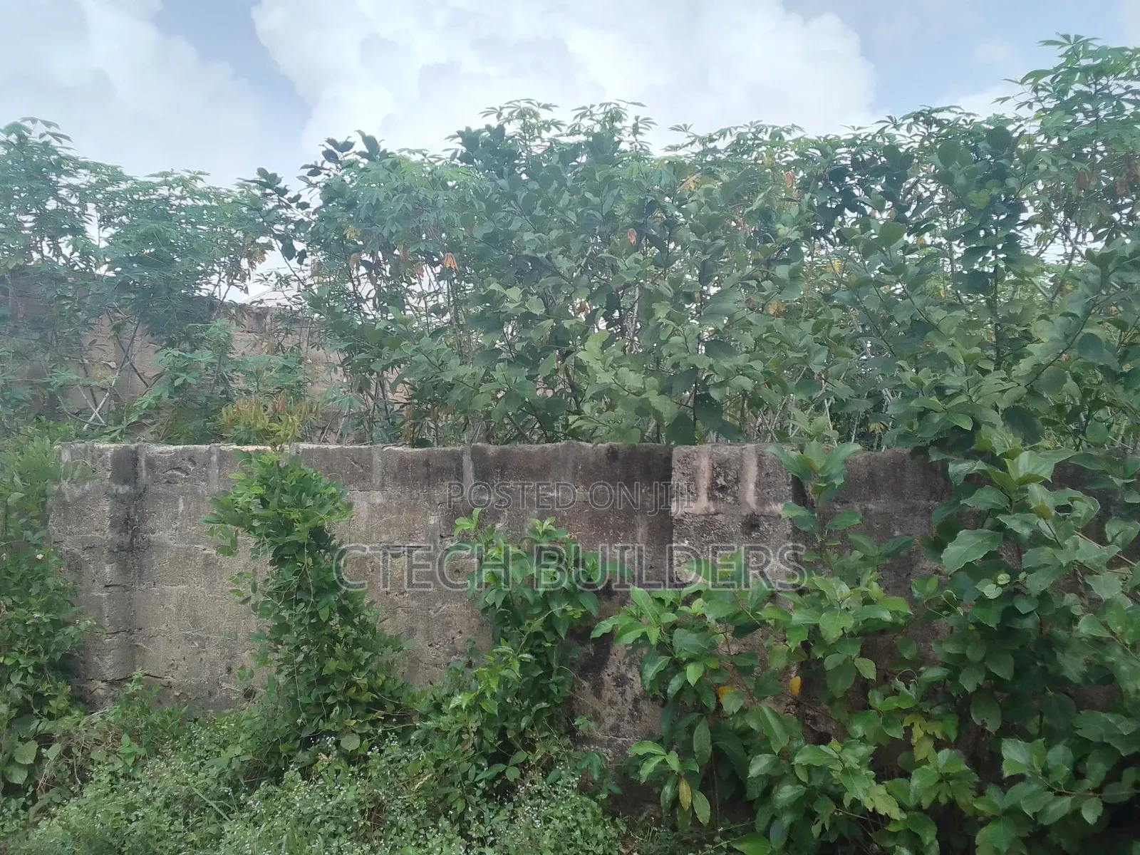 Plot for Sale in Benin City