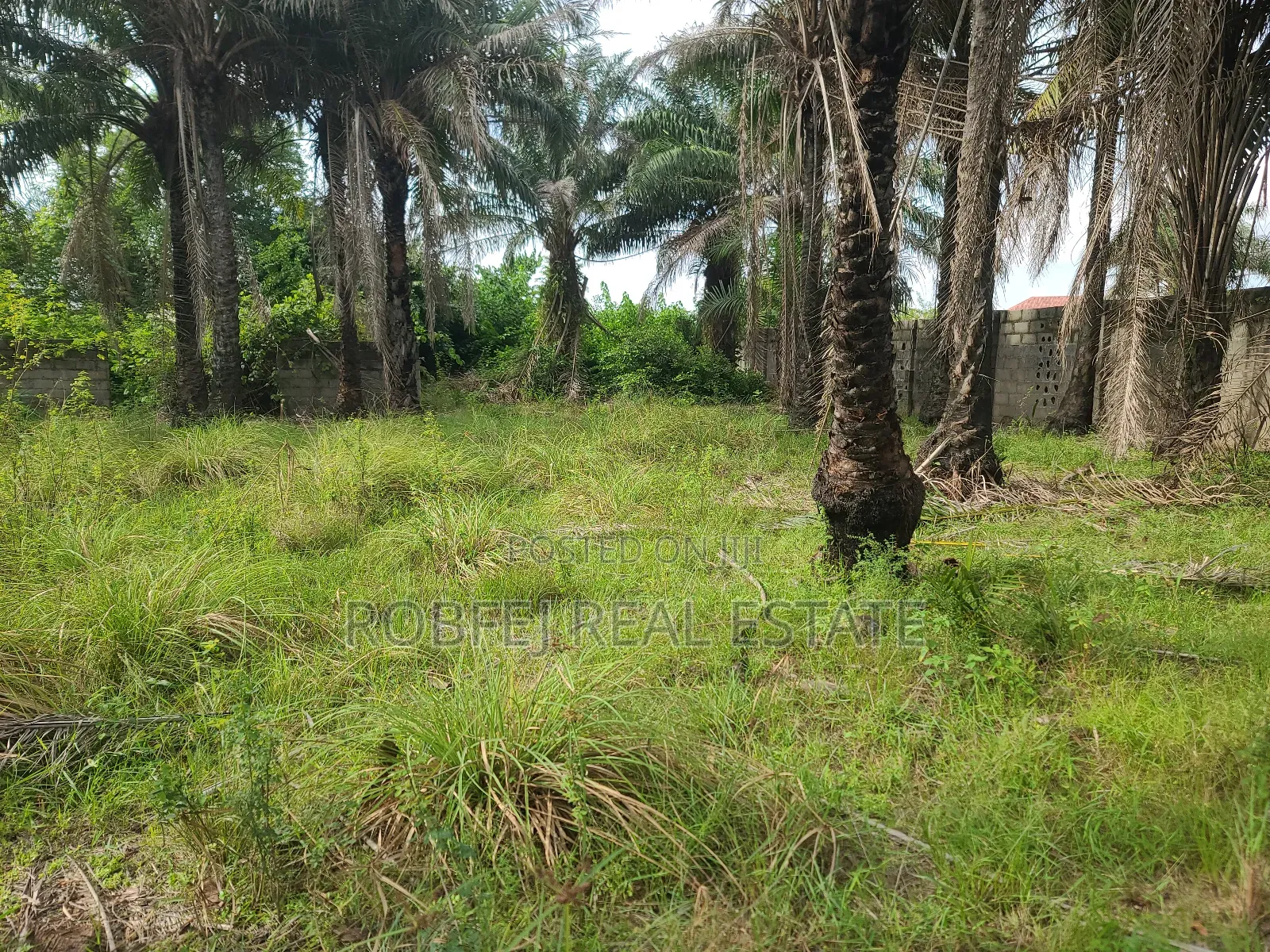 Own an Ocean View Plot for N9m in Eleko