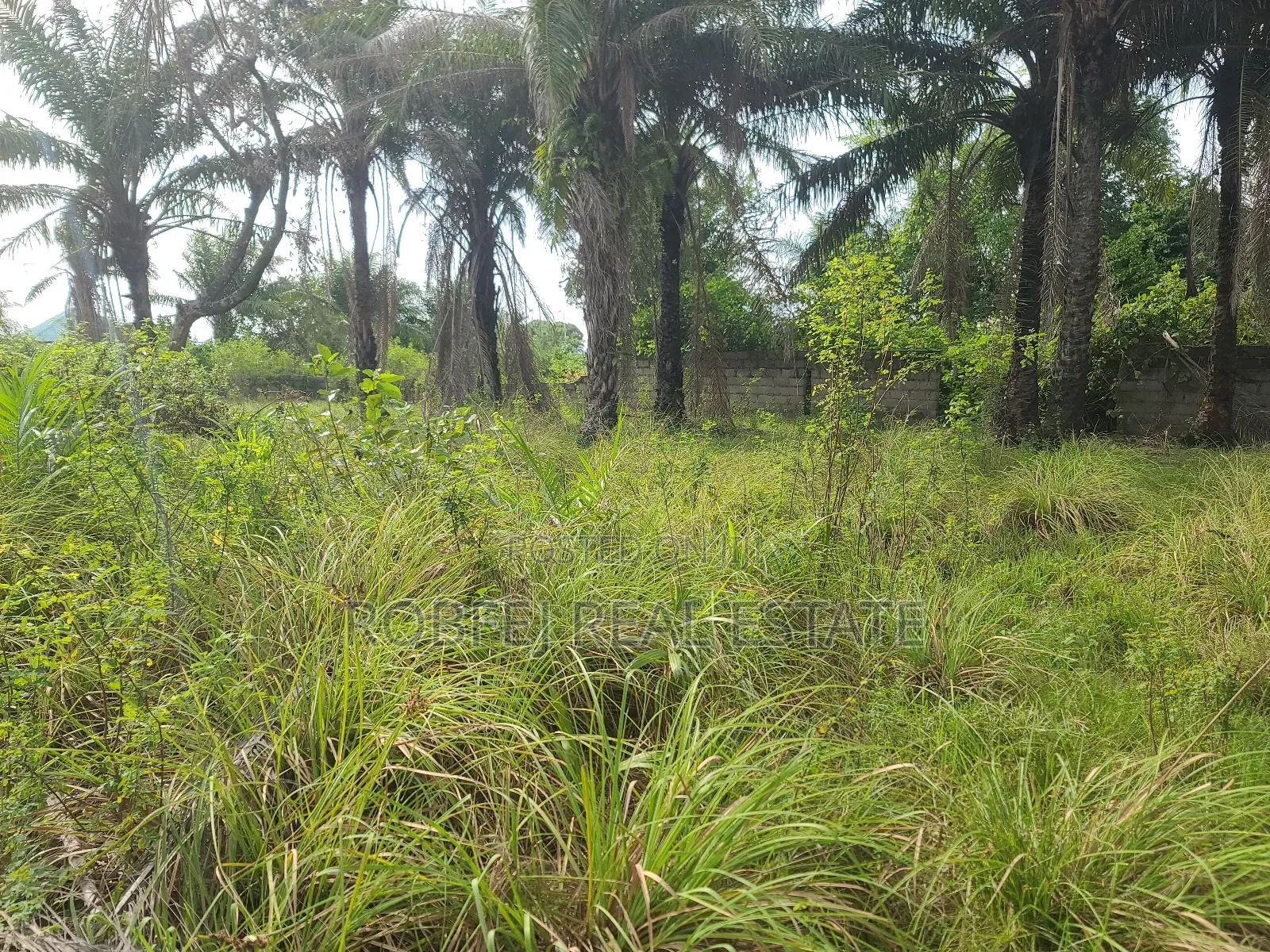 Own an Ocean View Plot for N9m in Eleko