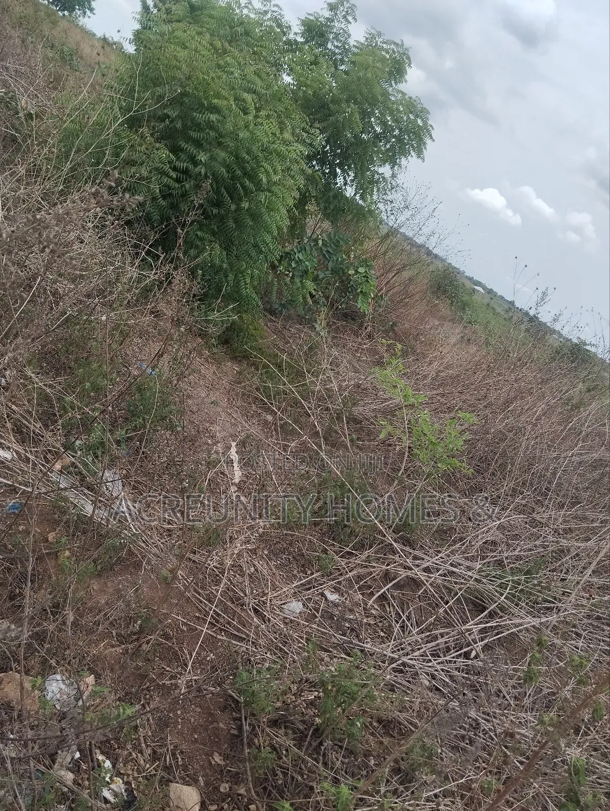 200 Acres of Fertile Farmland–Kisanija Village, Okeho, Kajola Lg Oyo S in Kajola