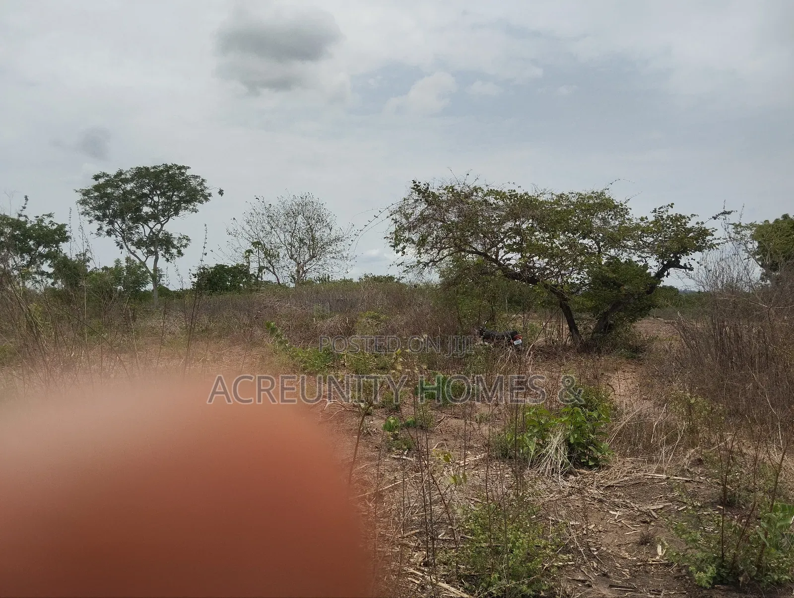 200 Acres of Fertile Farmland–Kisanija Village, Okeho, Kajola Lg Oyo S in Kajola