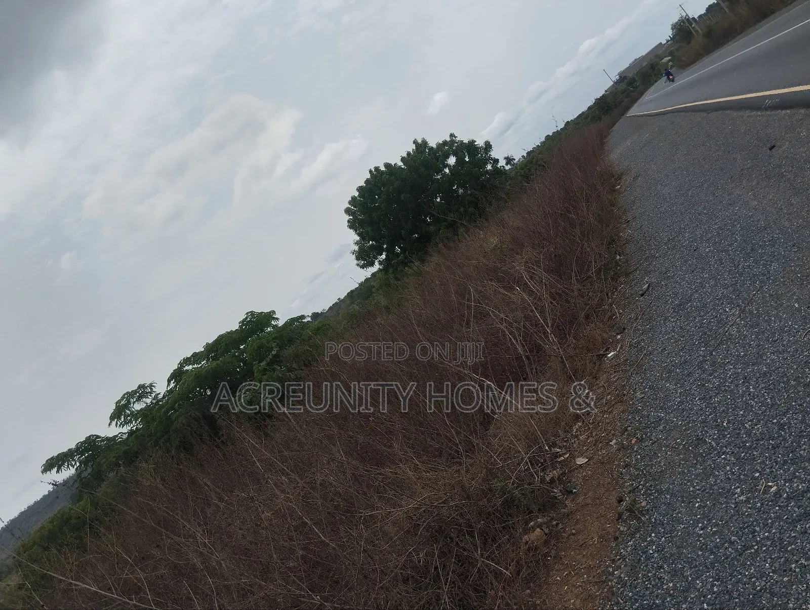 110 Acres of Fertile Farmland – Waasimi, Iseyin Local Govt, Oyo State in Iseyin