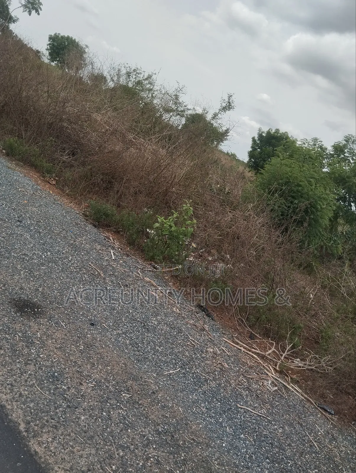 110 Acres of Fertile Farmland – Waasimi, Iseyin Local Govt, Oyo State in Iseyin