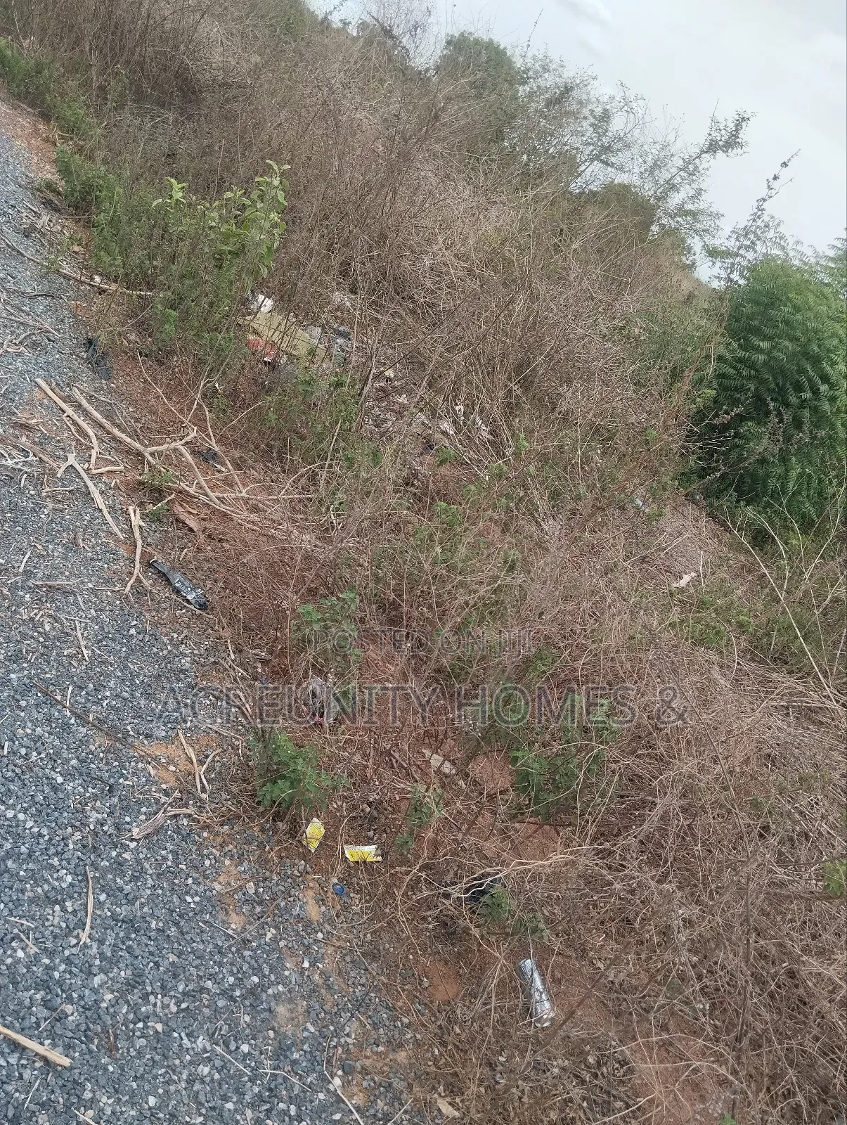 110 Acres of Fertile Farmland – Waasimi, Iseyin Local Govt, Oyo State in Iseyin