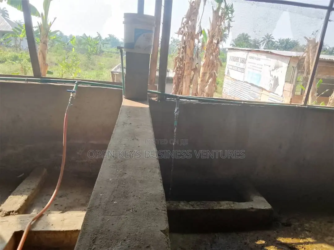A 7acres of Farm Land in a Nice Location in Lagelu