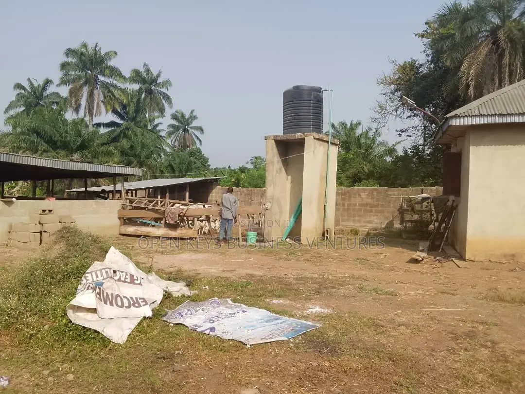 A 7acres of Farm Land in a Nice Location in Lagelu