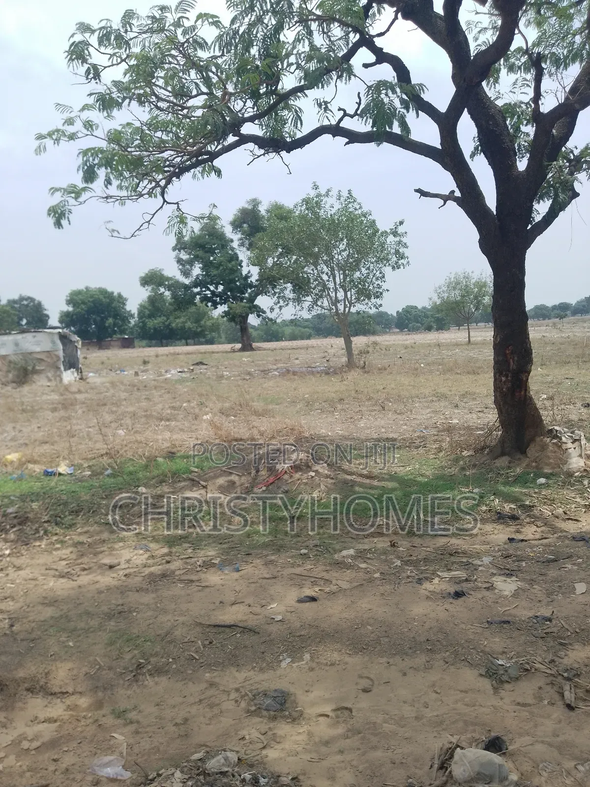 R of O Land on a Hurt Sale in Pyakasa