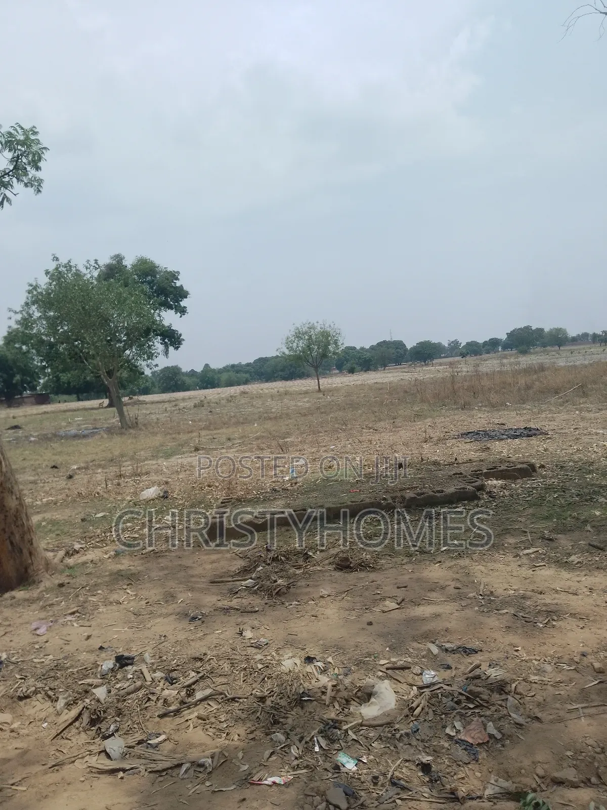 R of O Land on a Hurt Sale in Pyakasa