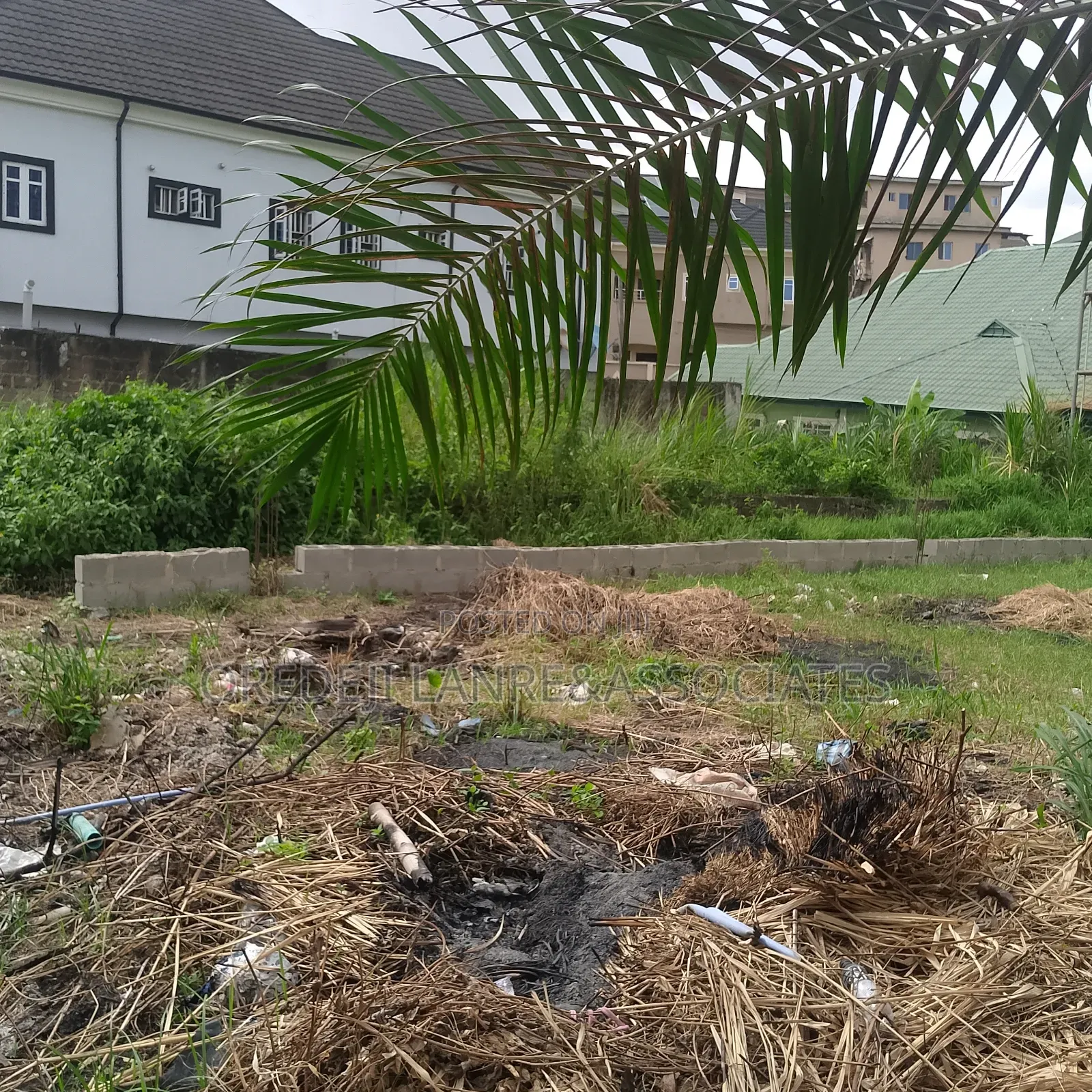 Prime 50 Ft by 50 Ft Land Inside Williams Estate Ogba in Oke-Ira / Ogba