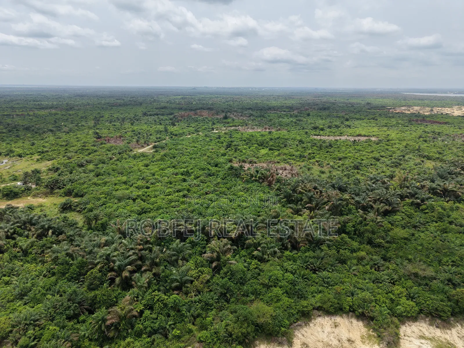 Premium Investment Opportunity 28 Hectares of Land in Elerangbe