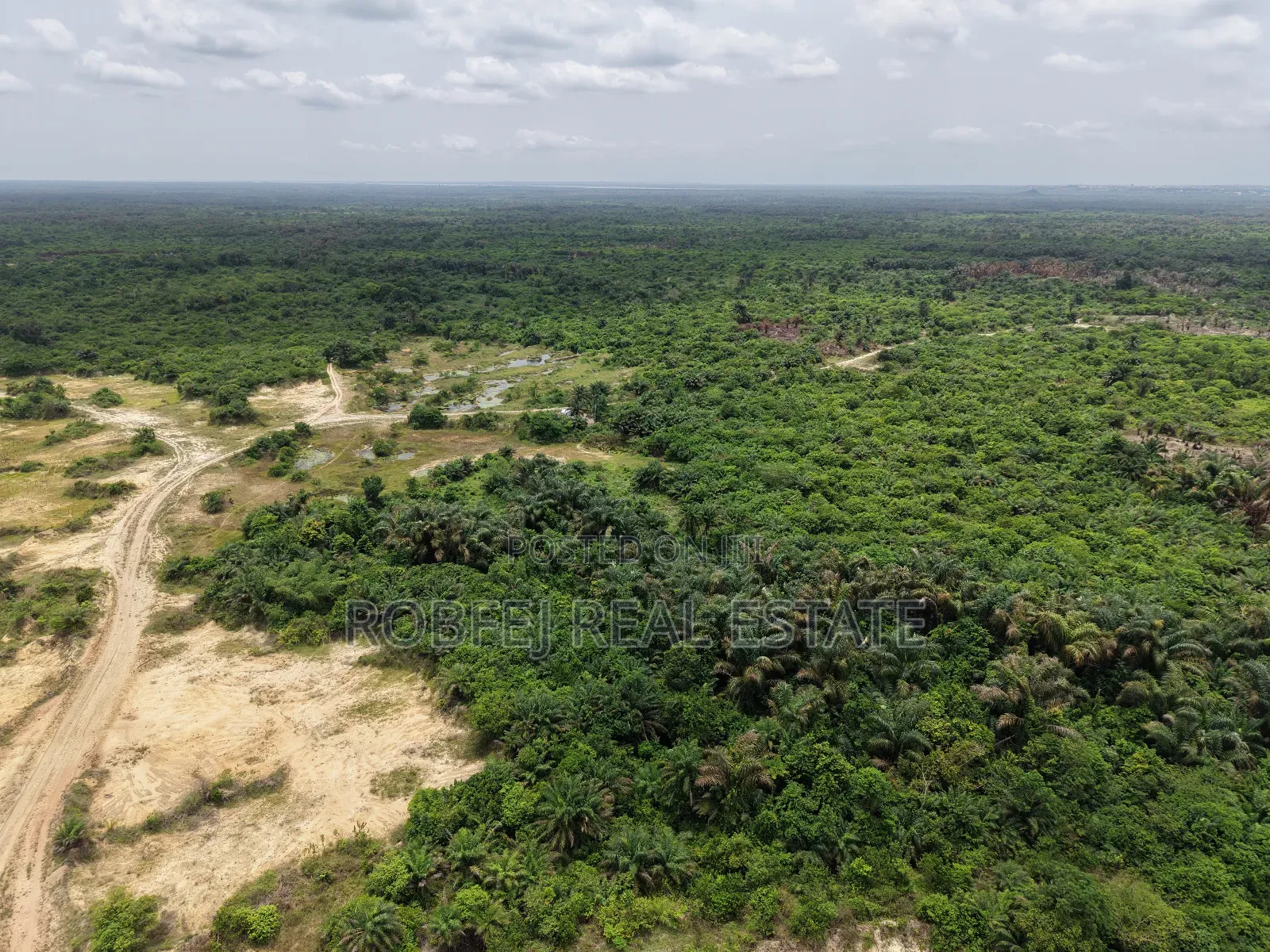 Premium Investment Opportunity 28 Hectares of Land in Elerangbe