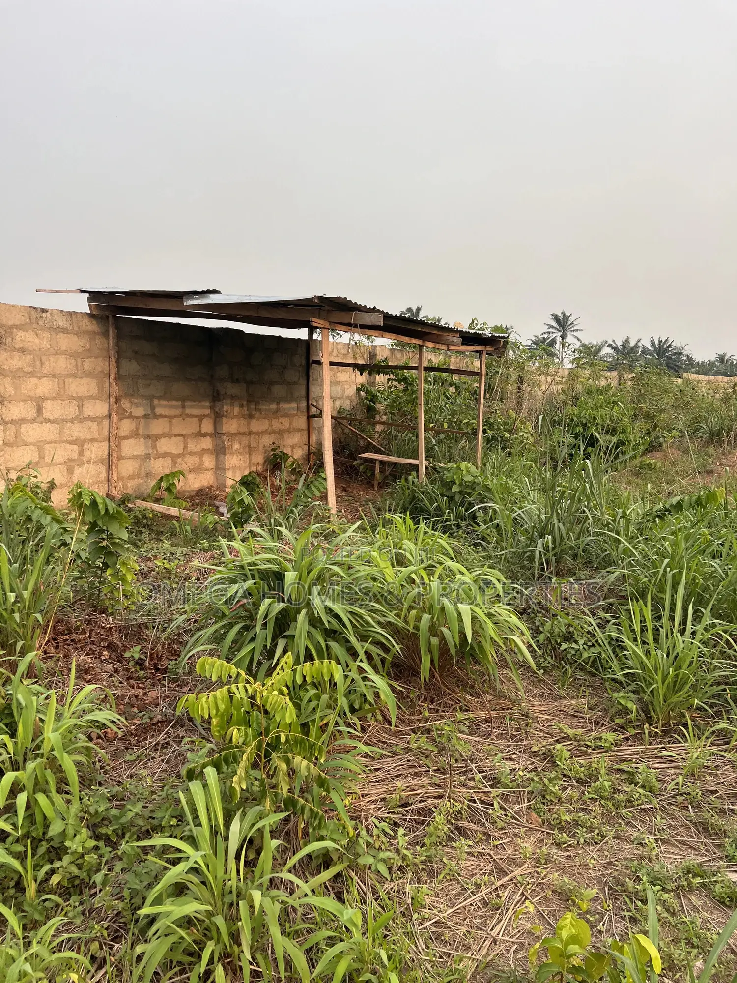 4 Plots of Land at Old Umuahia in Umuahia