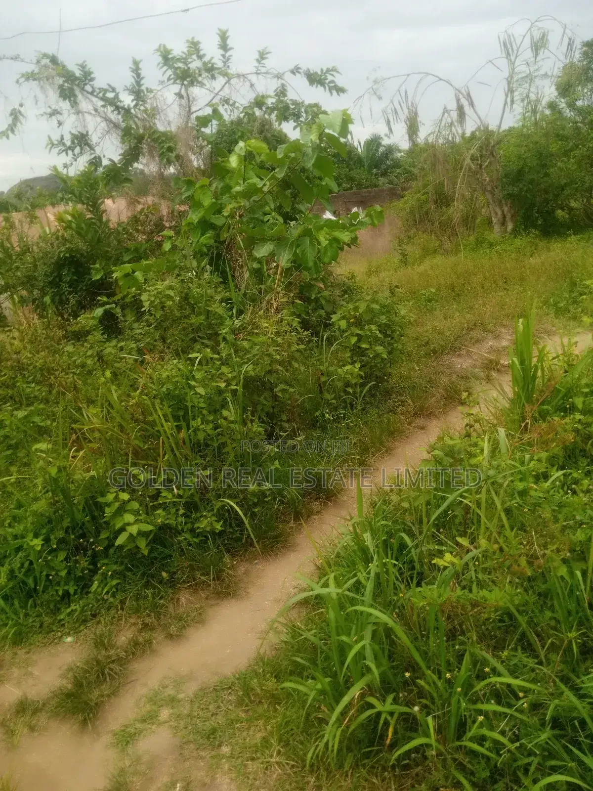 4 Plots of Land for Sale Opposite School of Nursing Ori Apata in Ado Ekiti