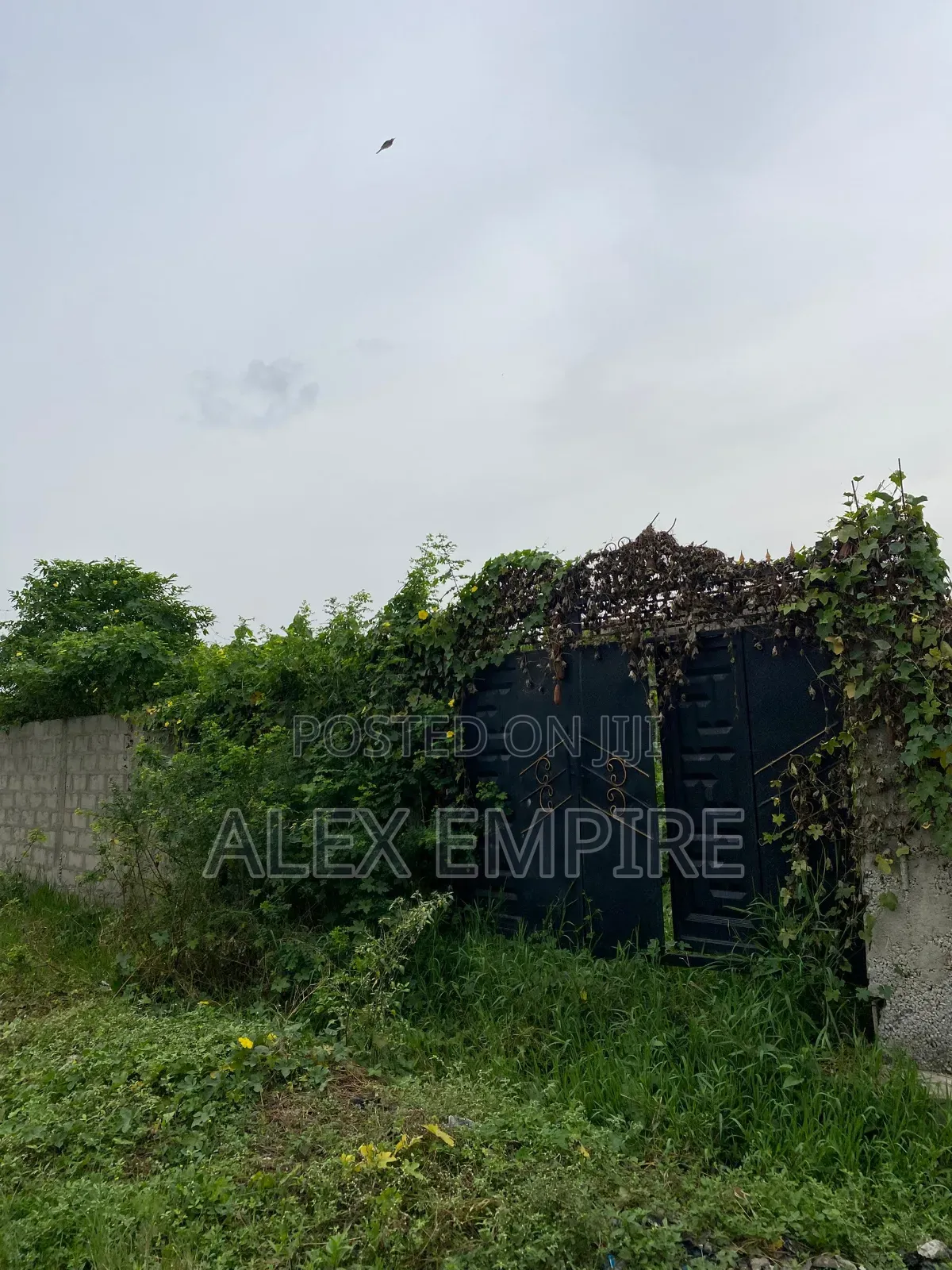 Plot of Land for Sale in Greenfield Estate in Ago Palace