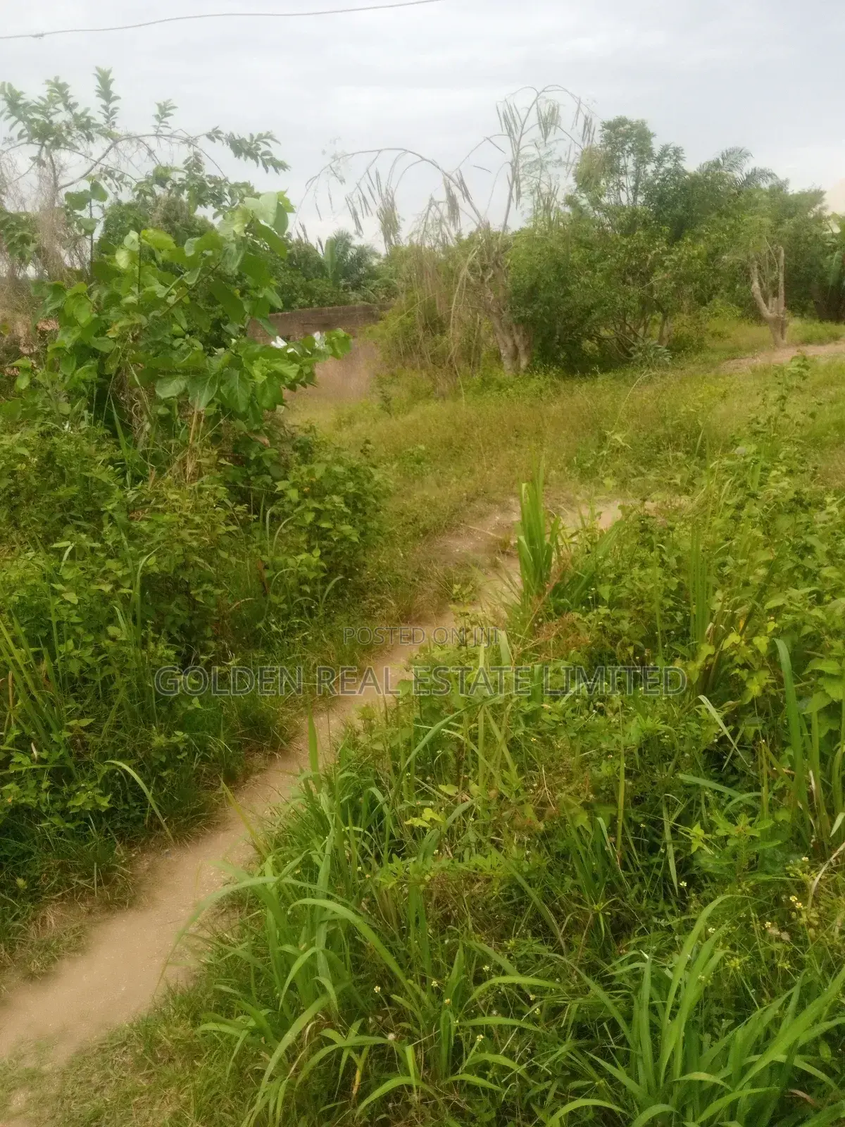 4 Plots of Land for Sale Opposite School of Nursing Ori Apata in Ado Ekiti