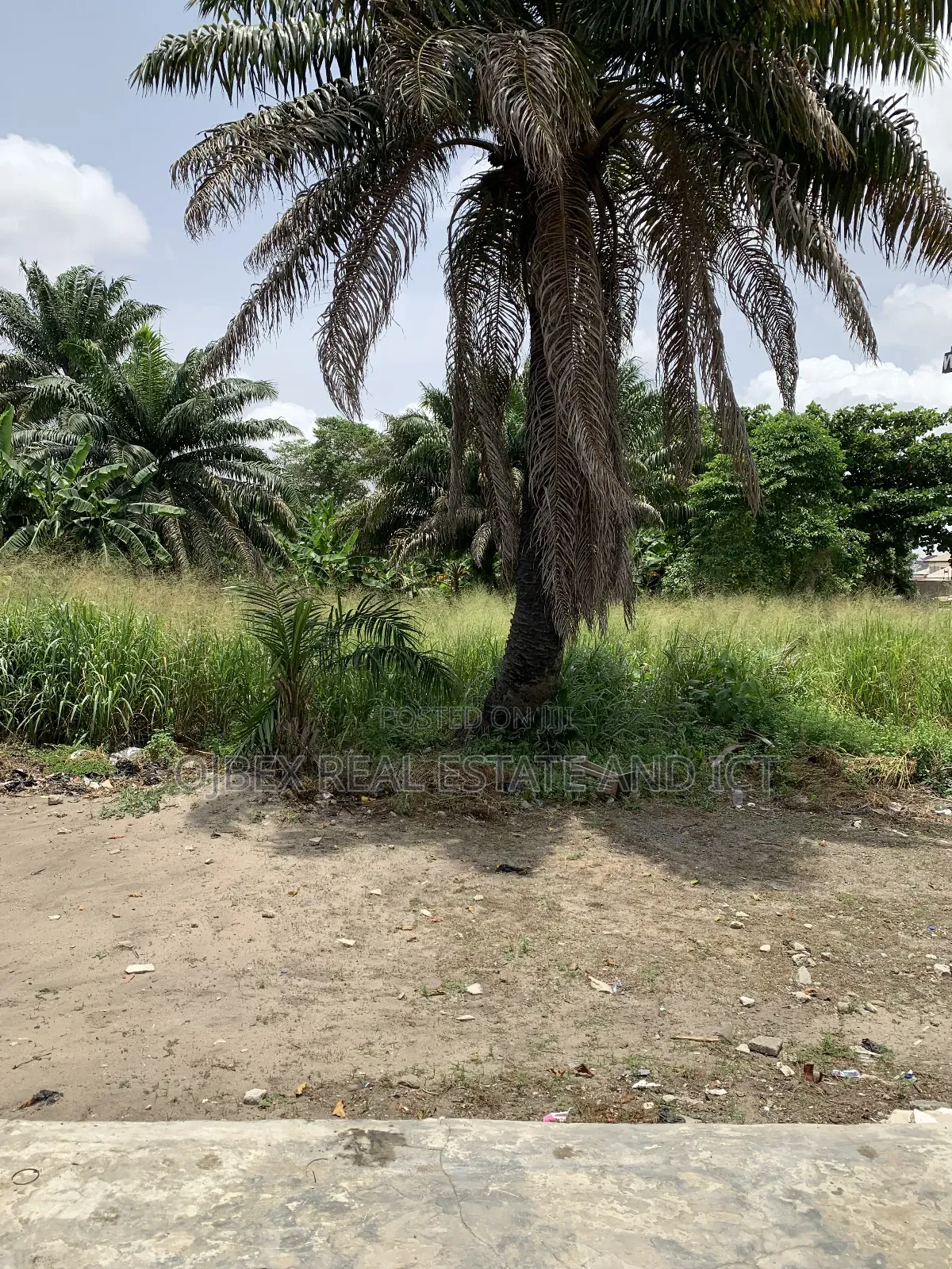 Plot of Land Fenced and Gated in Ajah