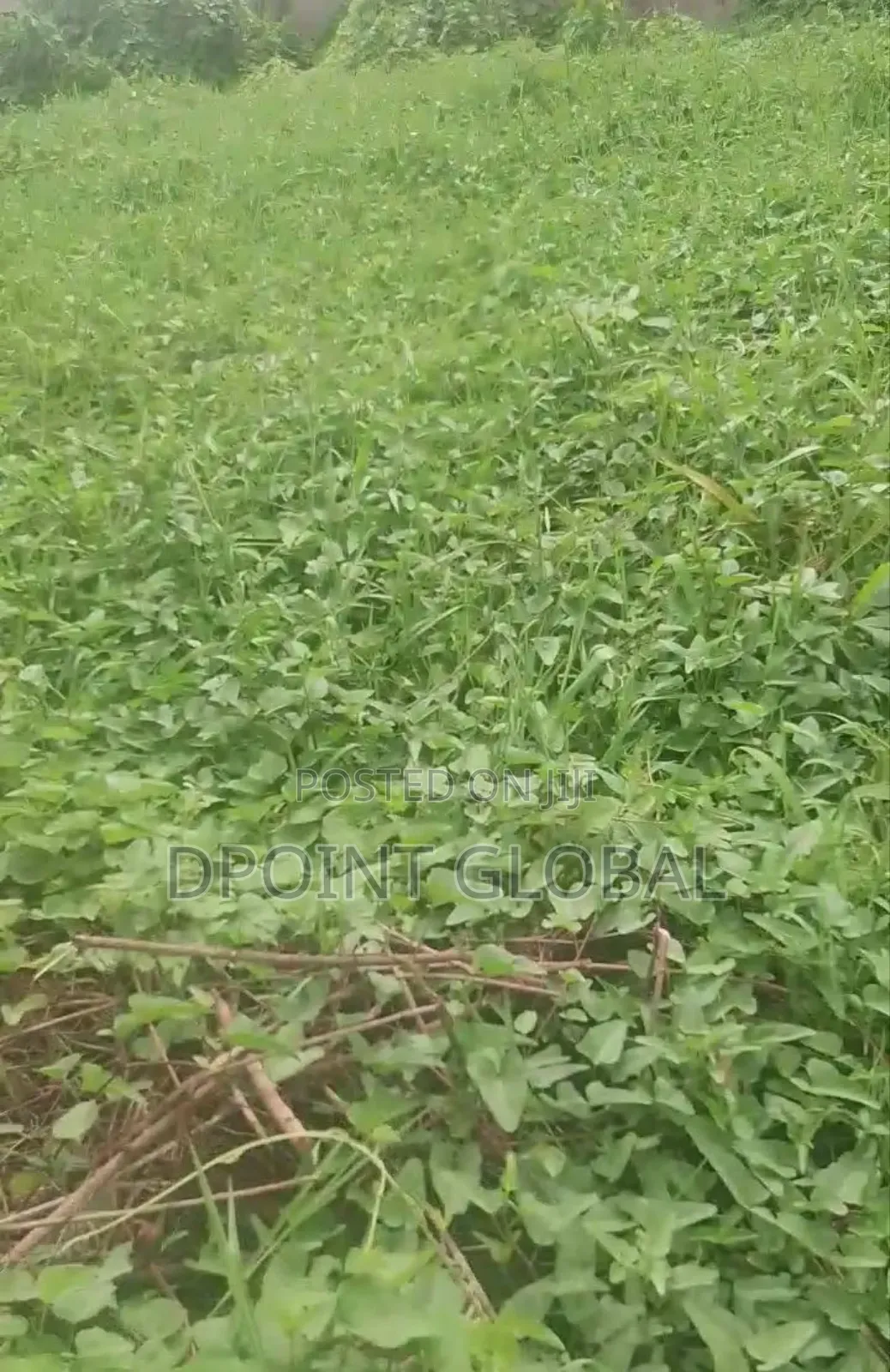 Land ( 70 by 120ft ) , Over a Full Plot in Iyana Ipaja in Iyana Ipaja