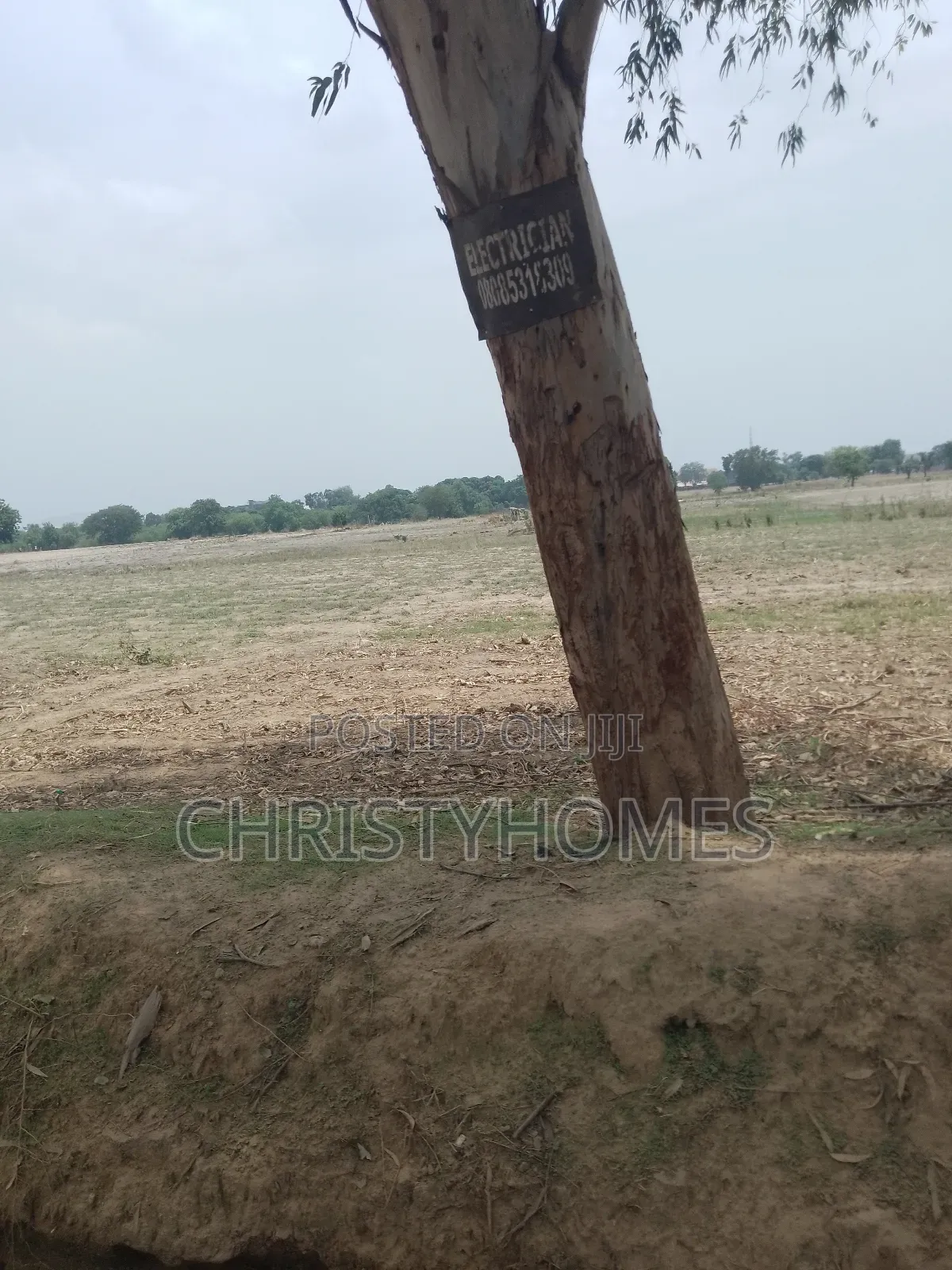 R of O Land on a Hurt Sale in Asokoro