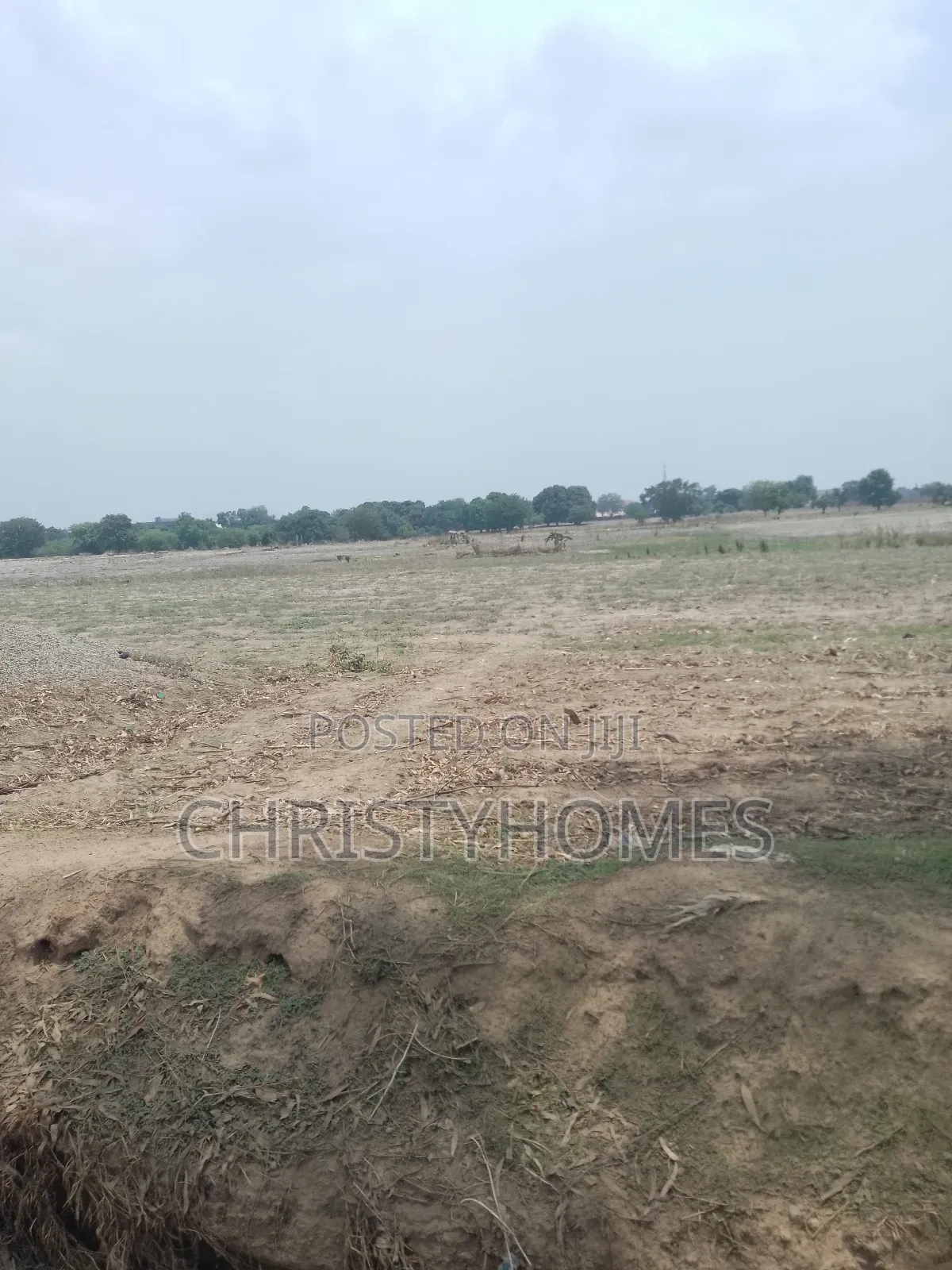 R of O Land on a Hurt Sale in Asokoro