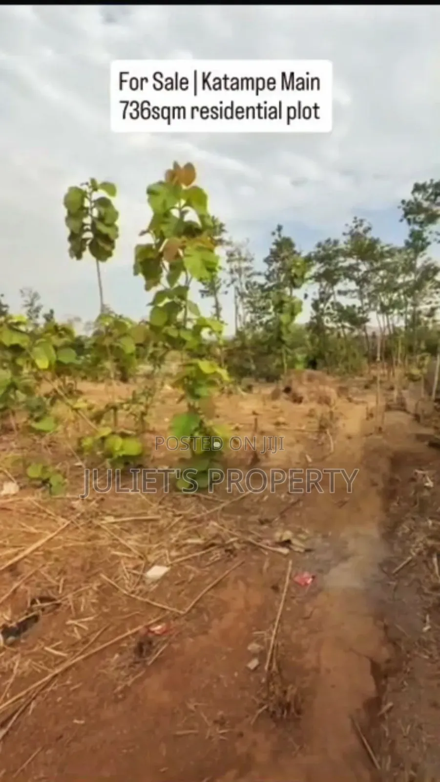 Land for Sell in Katampe (Main)