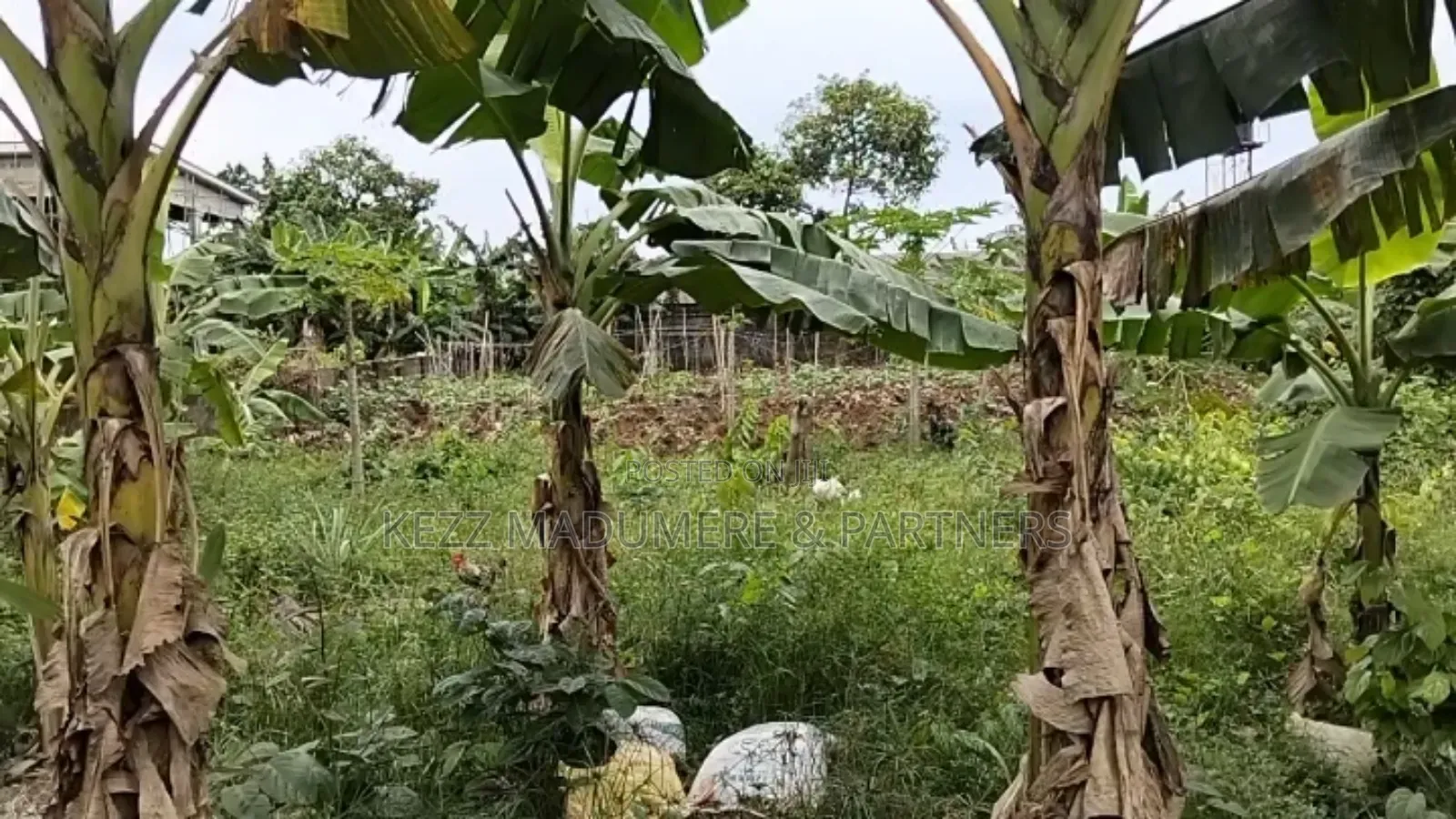 For Sale : 2 Plots at New Gra Phase 8 Eliozu, Ph in Eliozu