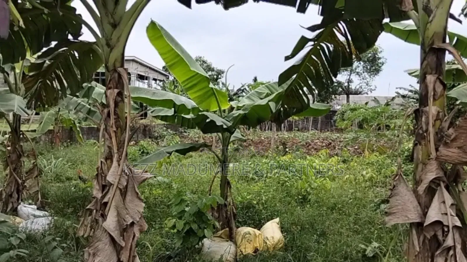 For Sale : 2 Plots at New Gra Phase 8 Eliozu, Ph in Eliozu