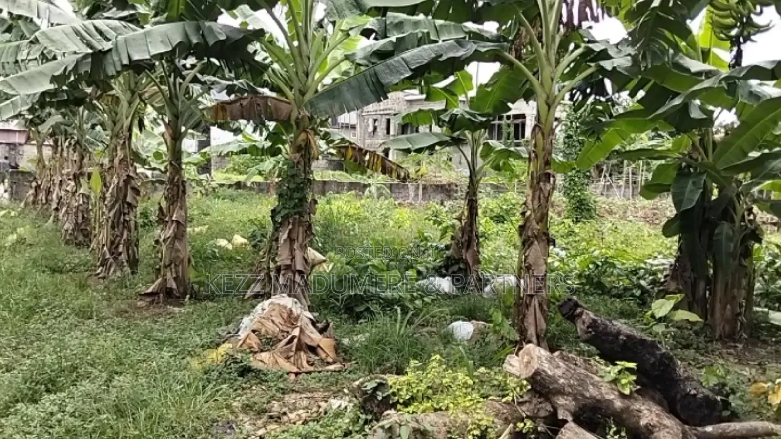 For Sale : 2 Plots at New Gra Phase 8 Eliozu, Ph in Eliozu