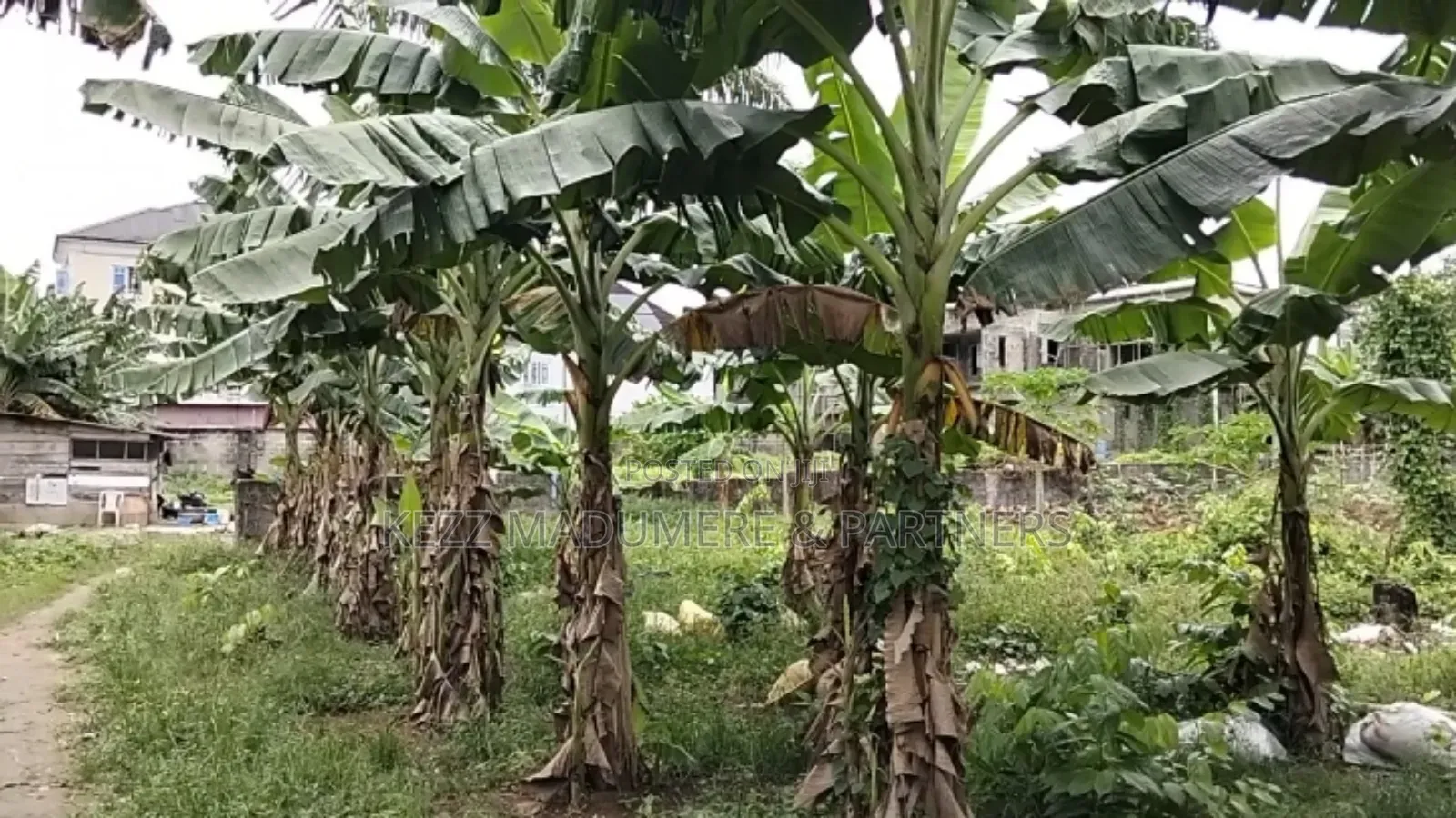 For Sale : 2 Plots at New Gra Phase 8 Eliozu, Ph in Eliozu