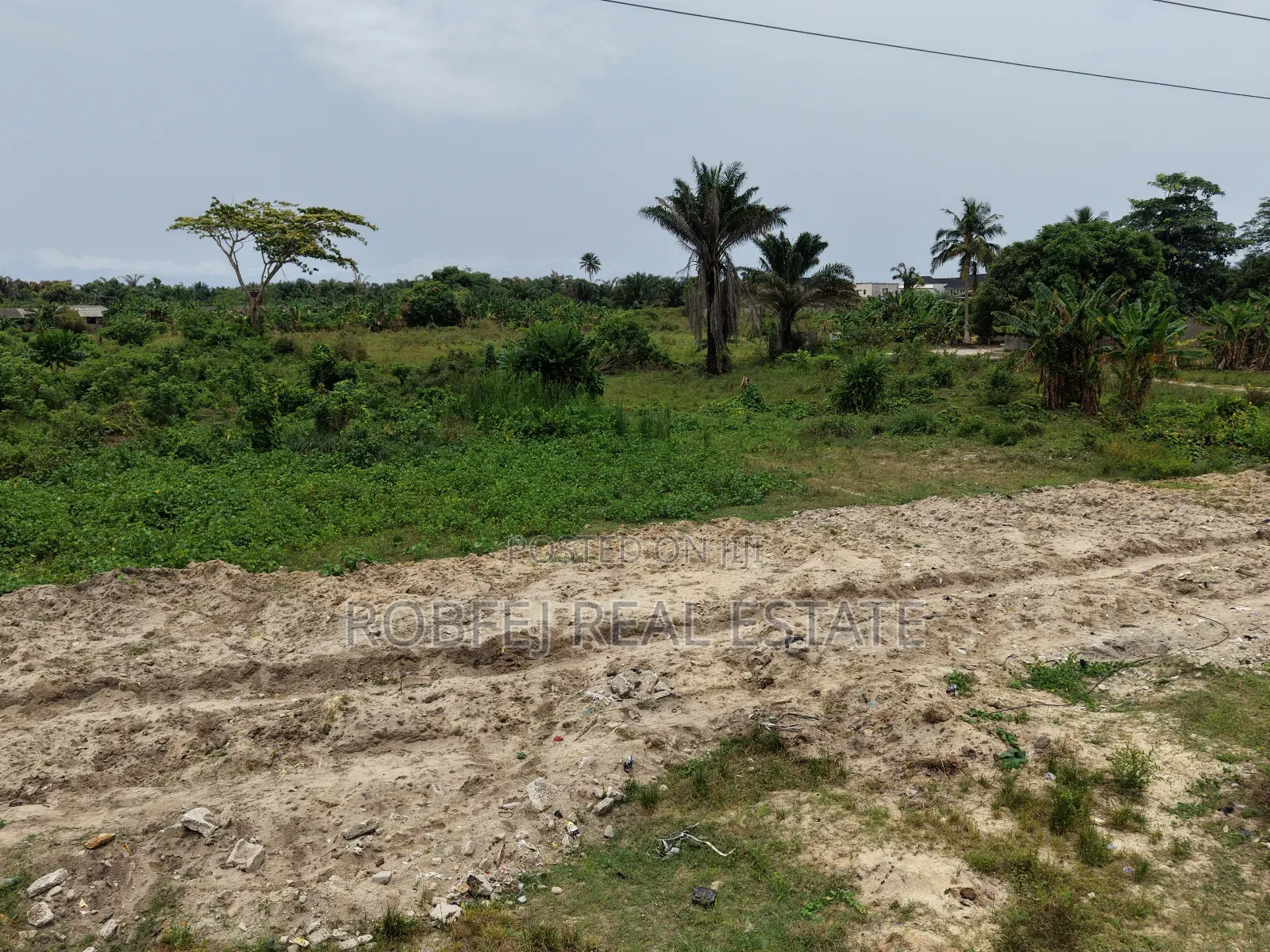 Massive Investment Opportunity in Bogije