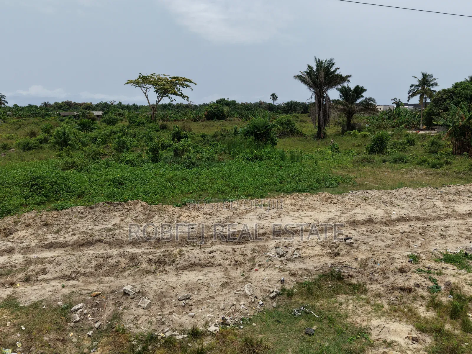 Massive Investment Opportunity in Bogije