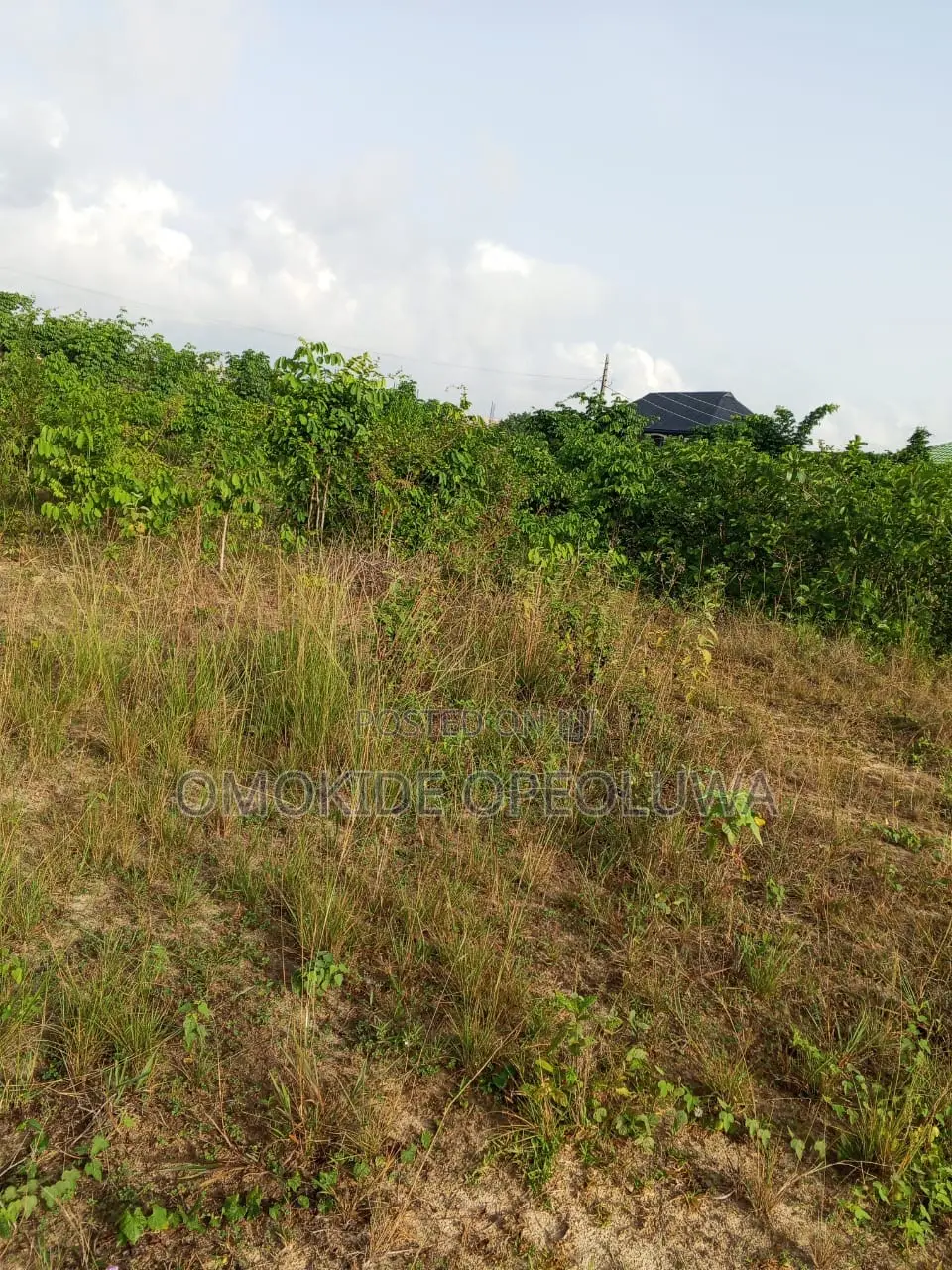 2 Plots of Land at Igbogbo, Ikorodu in Ikorodu