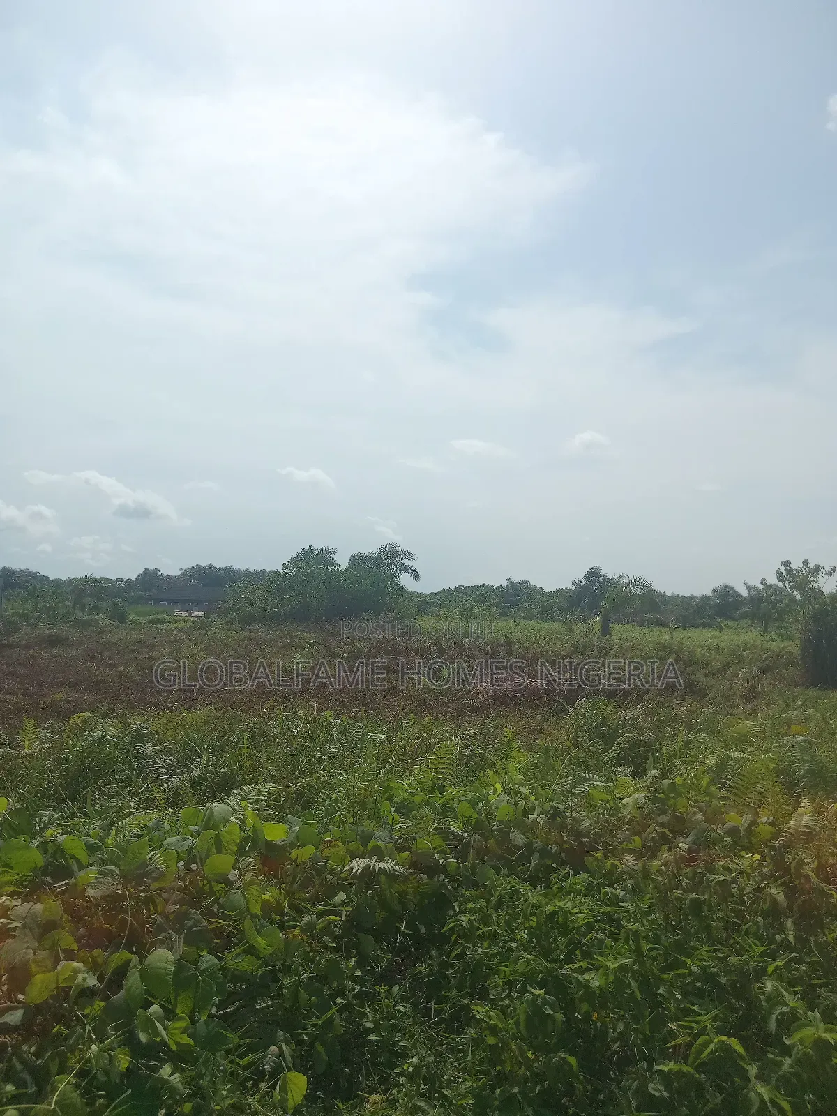Land for Sale in Bogije